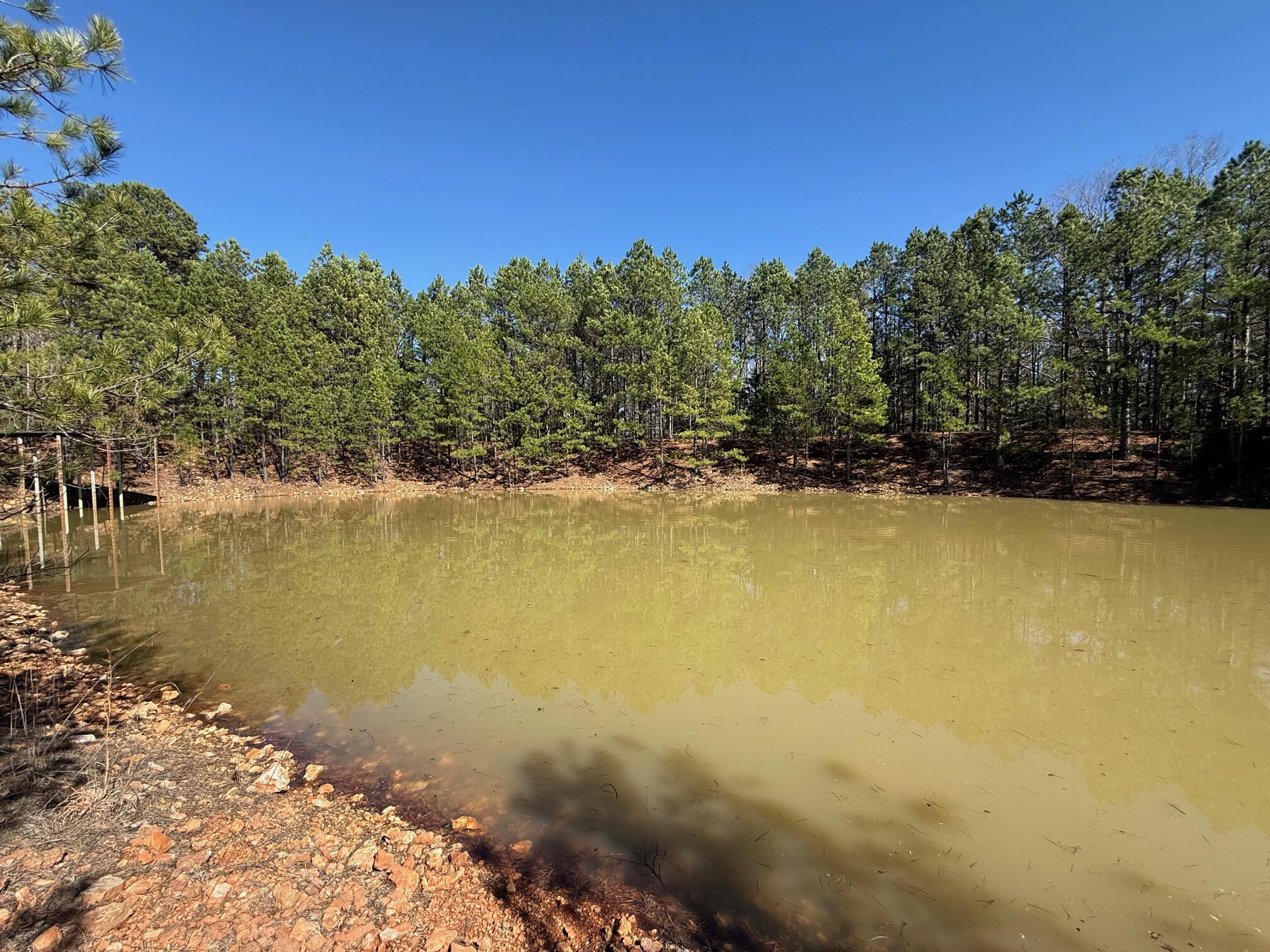 main property photo 47