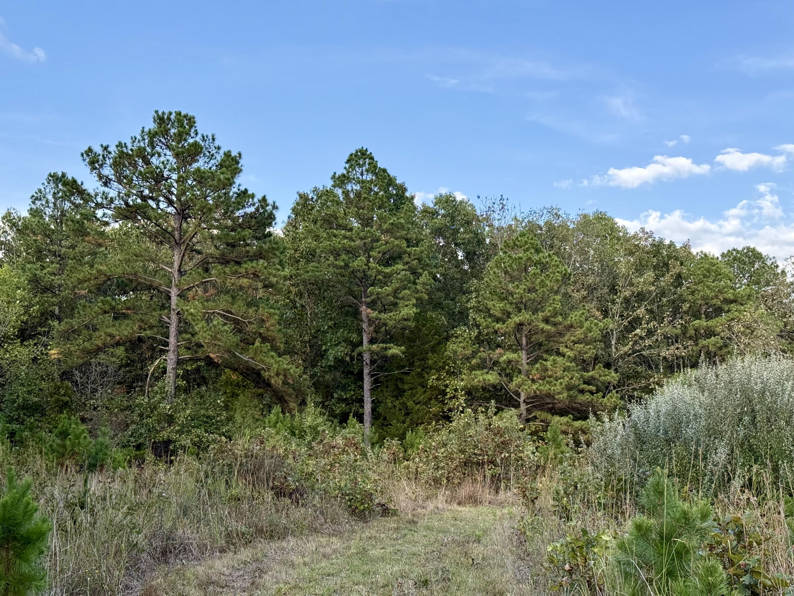 main property photo 59