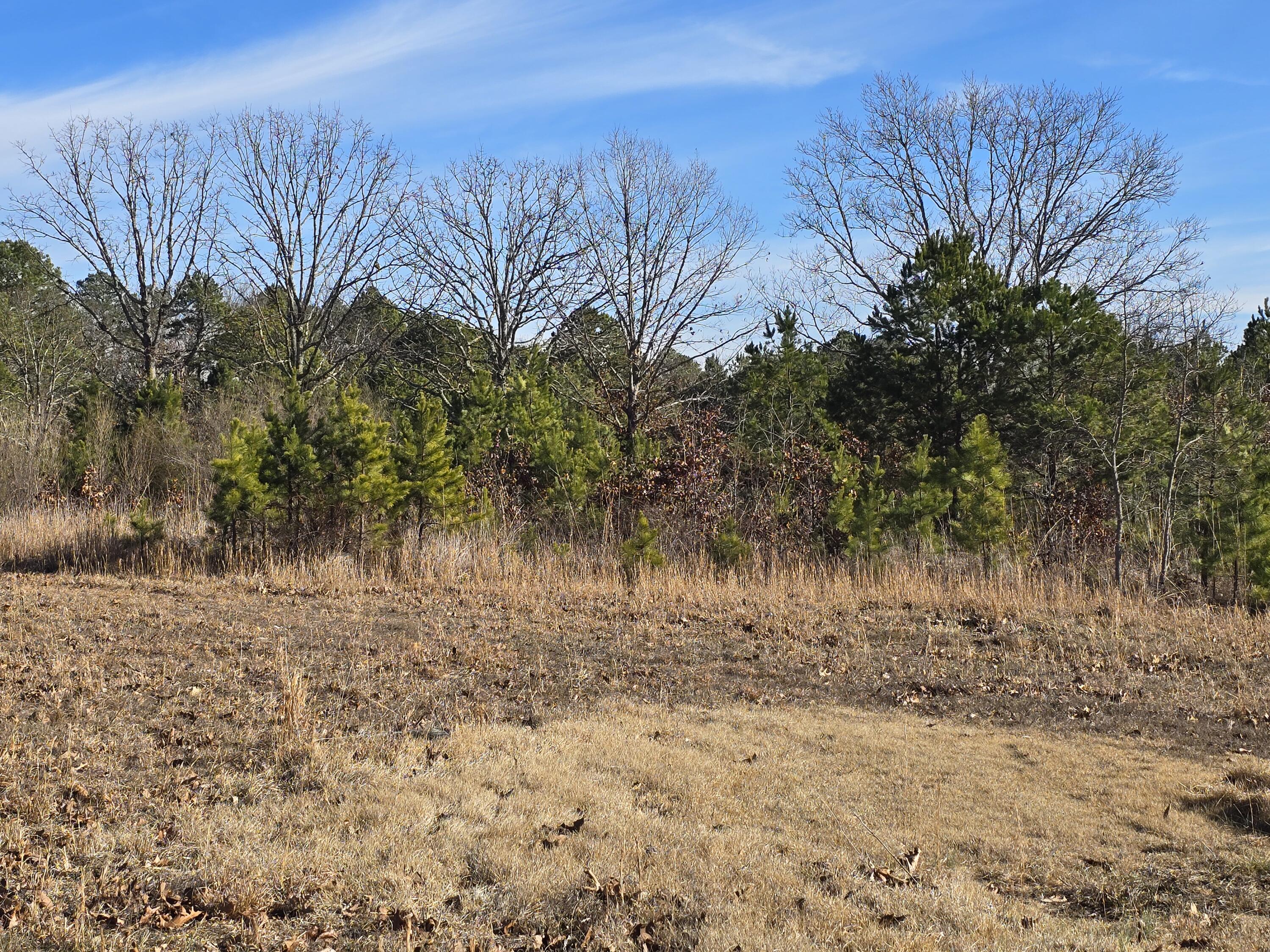 main property photo 60