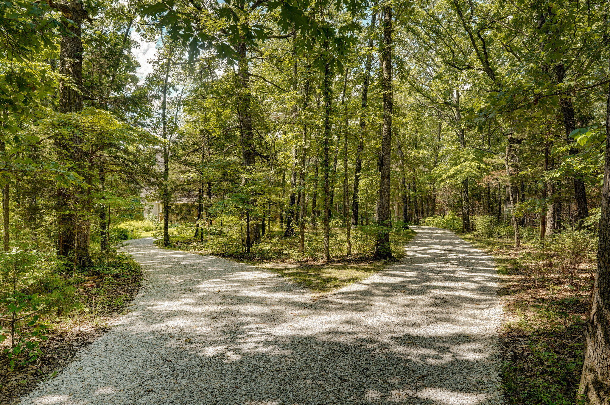 property viewer photo 4