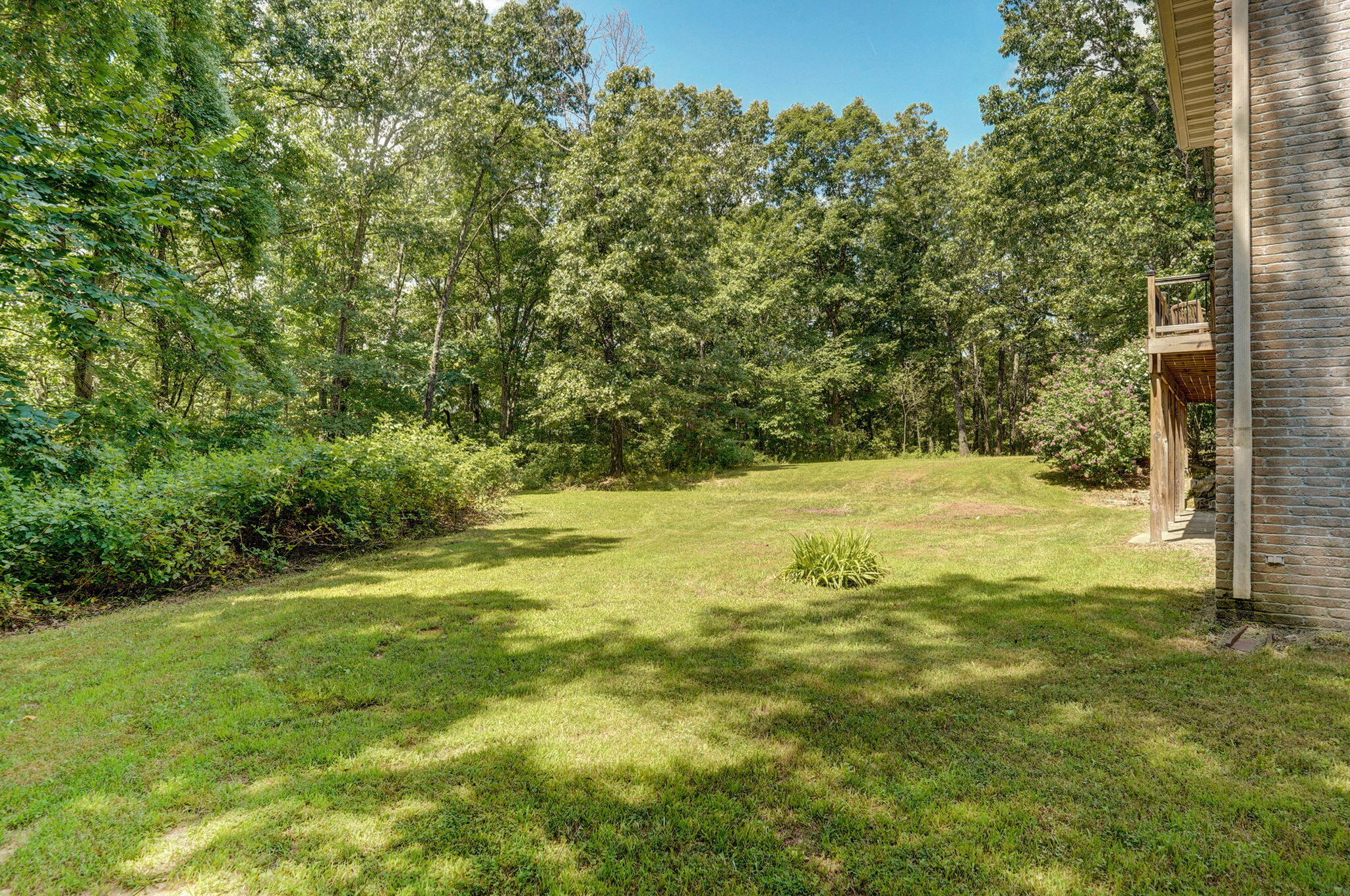 property viewer photo 64