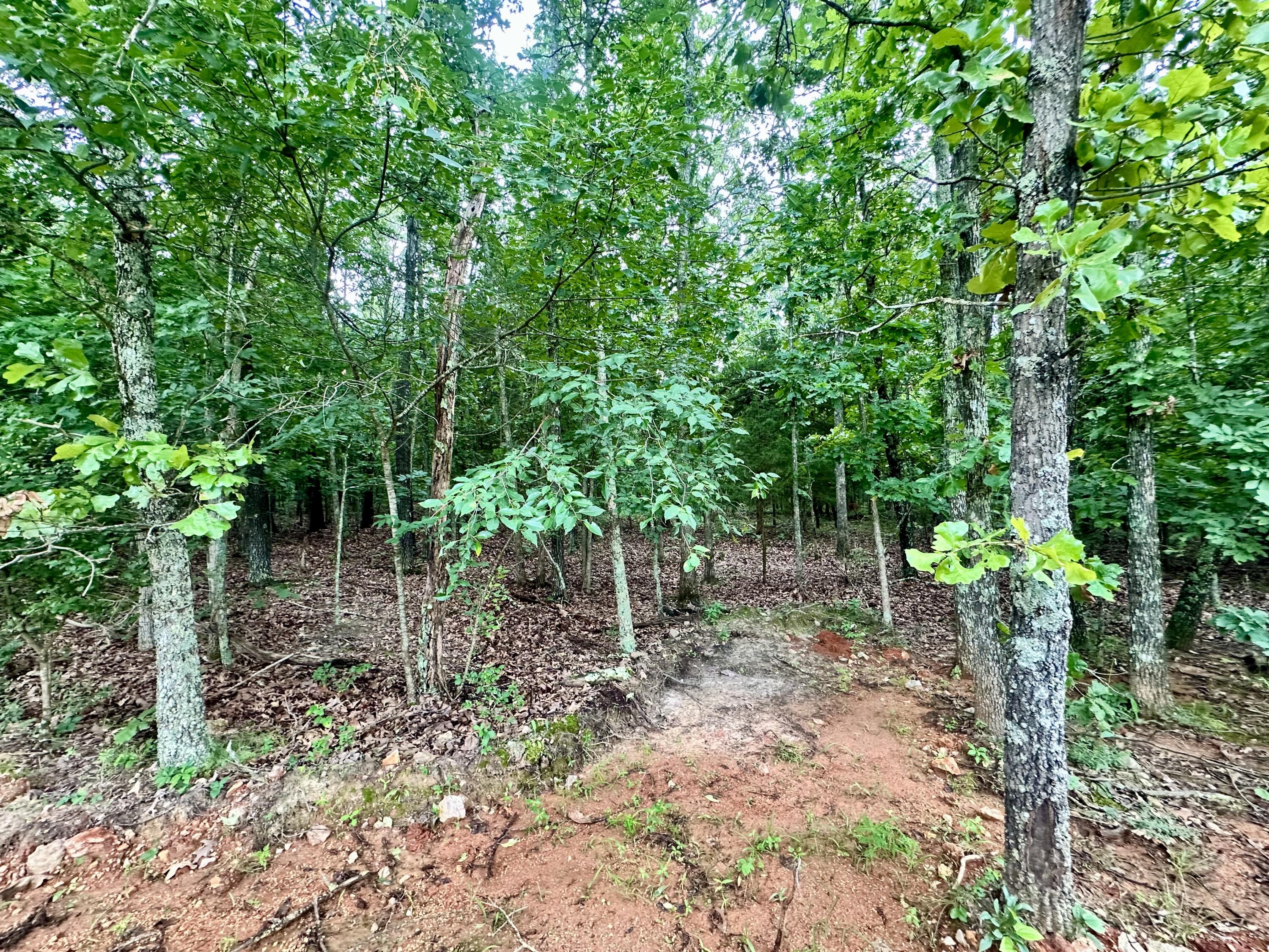 property viewer photo 1