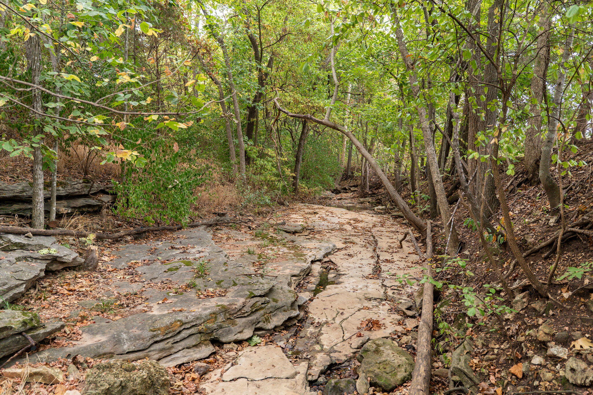 property viewer photo 58