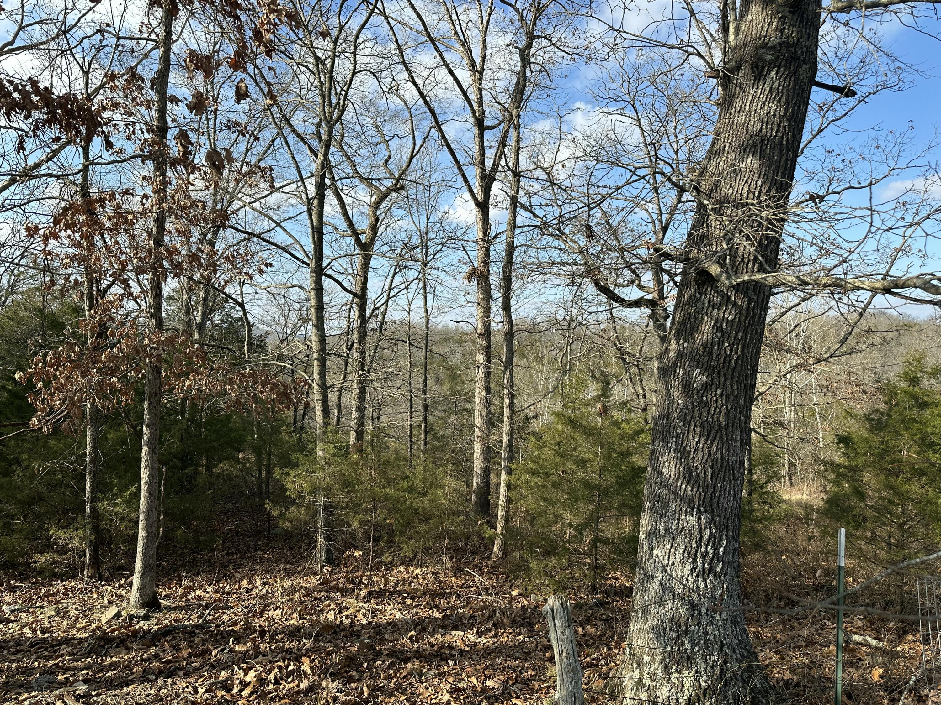 main property photo 24