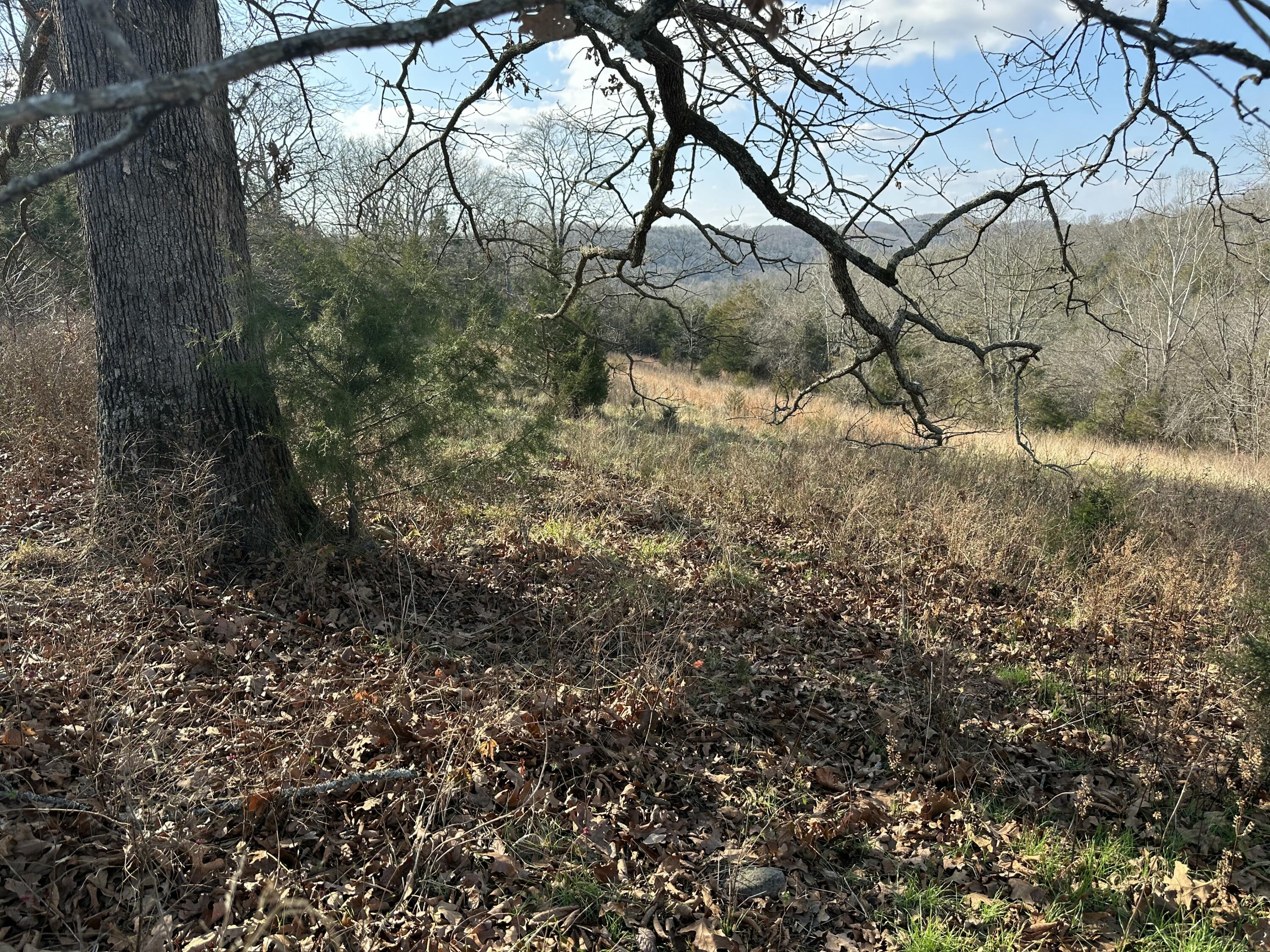 main property photo 44