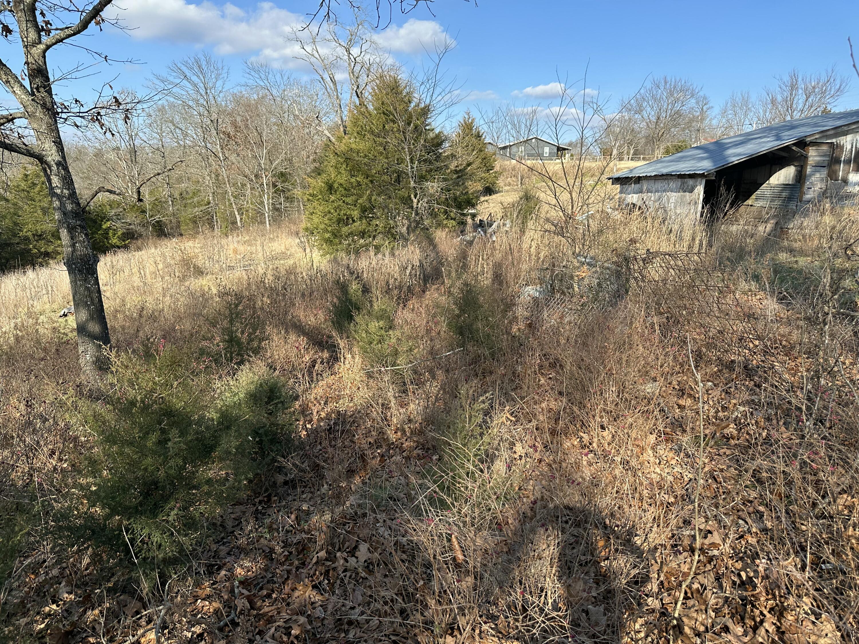 main property photo 45