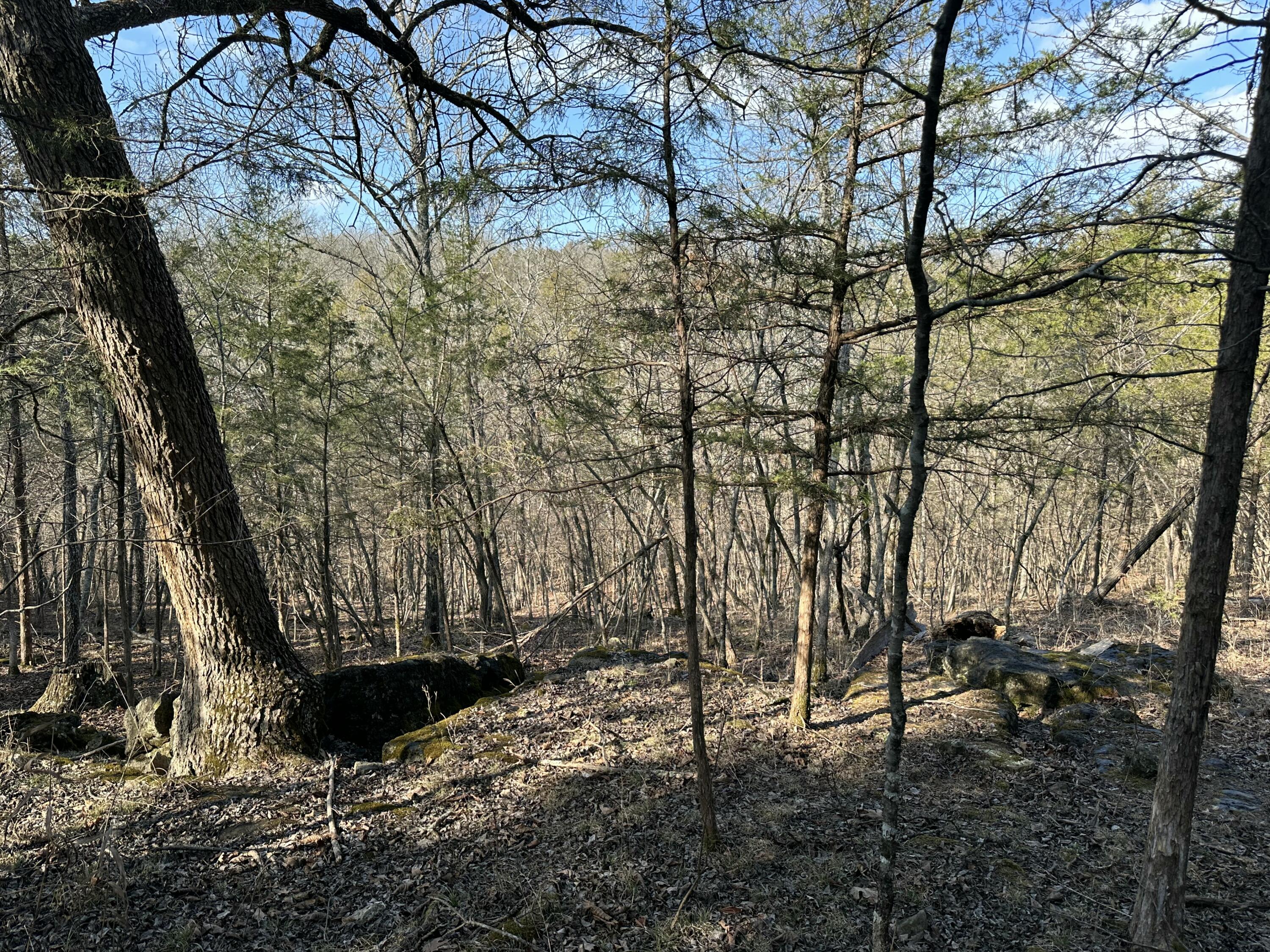 main property photo 47