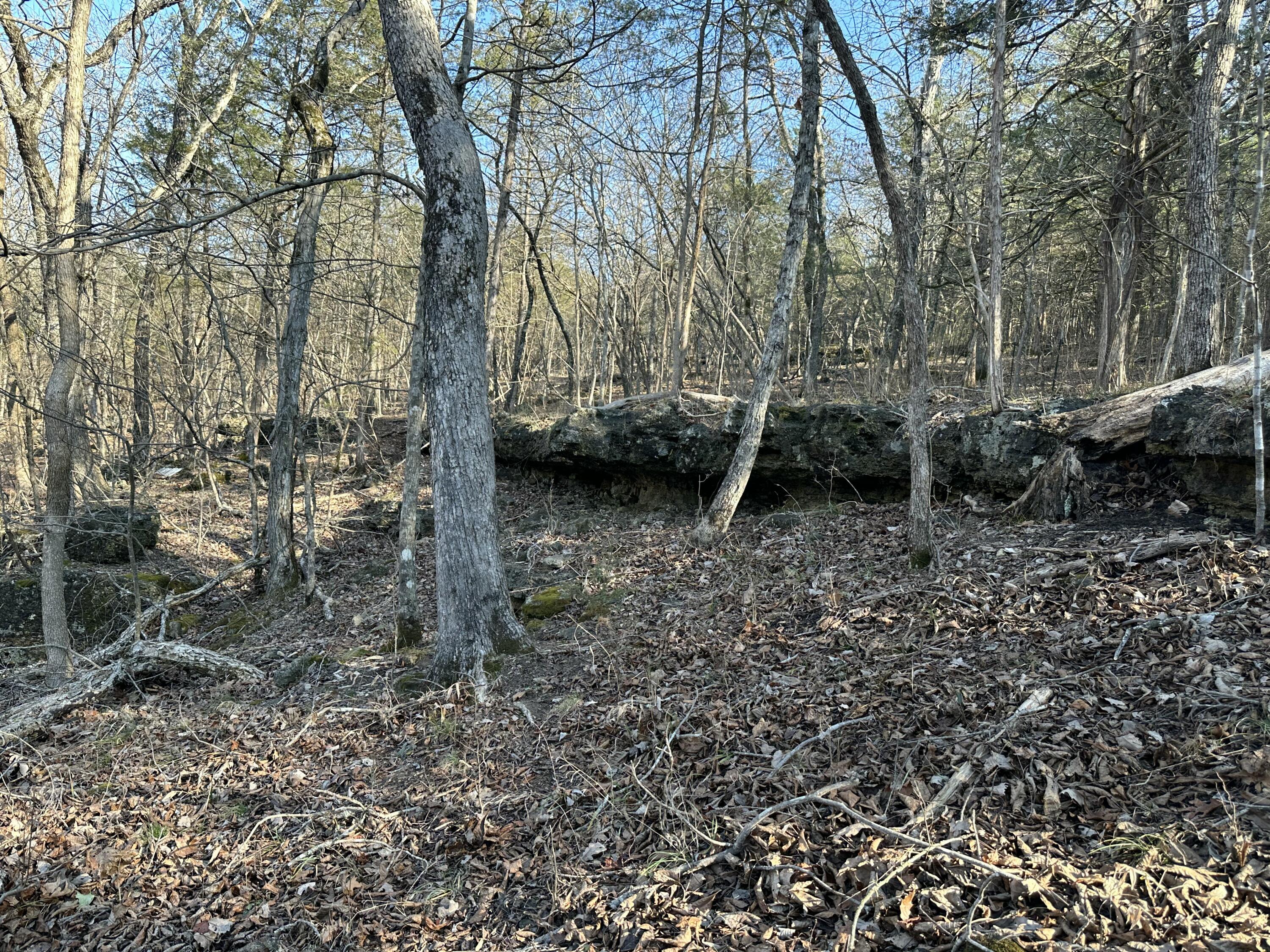 main property photo 48