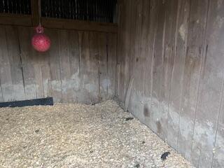 main property photo 32