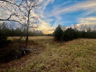 main property photo 54