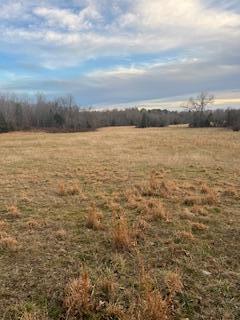 main property photo 58