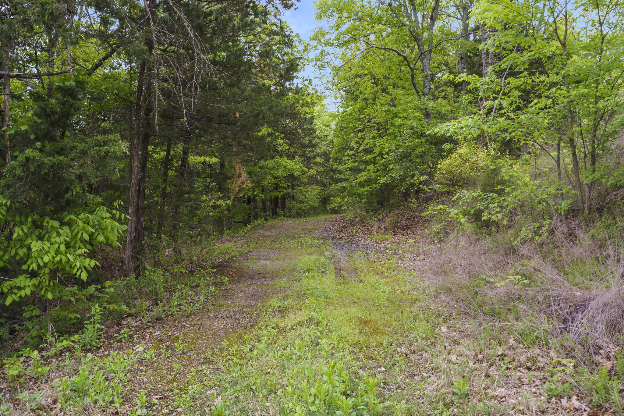 main property photo 45
