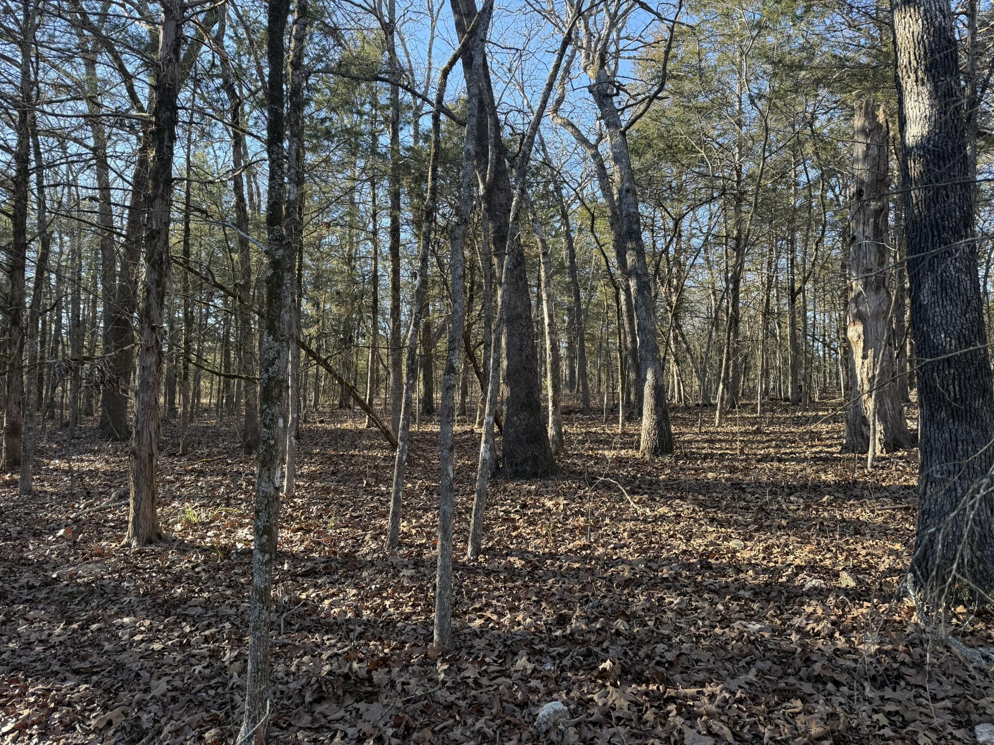 main property photo 13