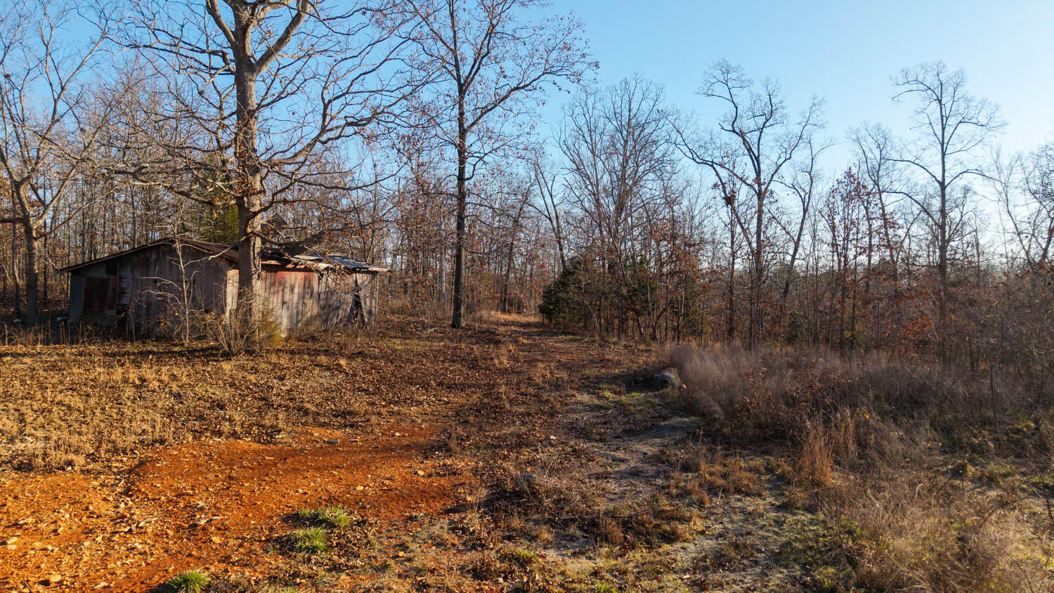 main property photo 74