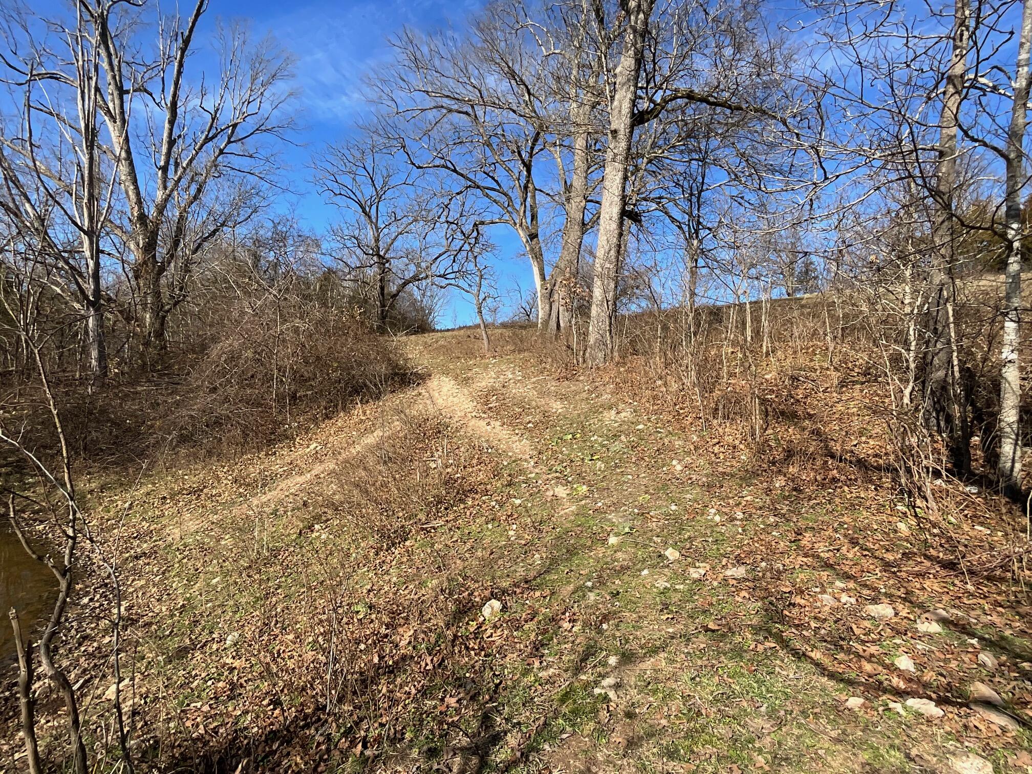 main property photo 12