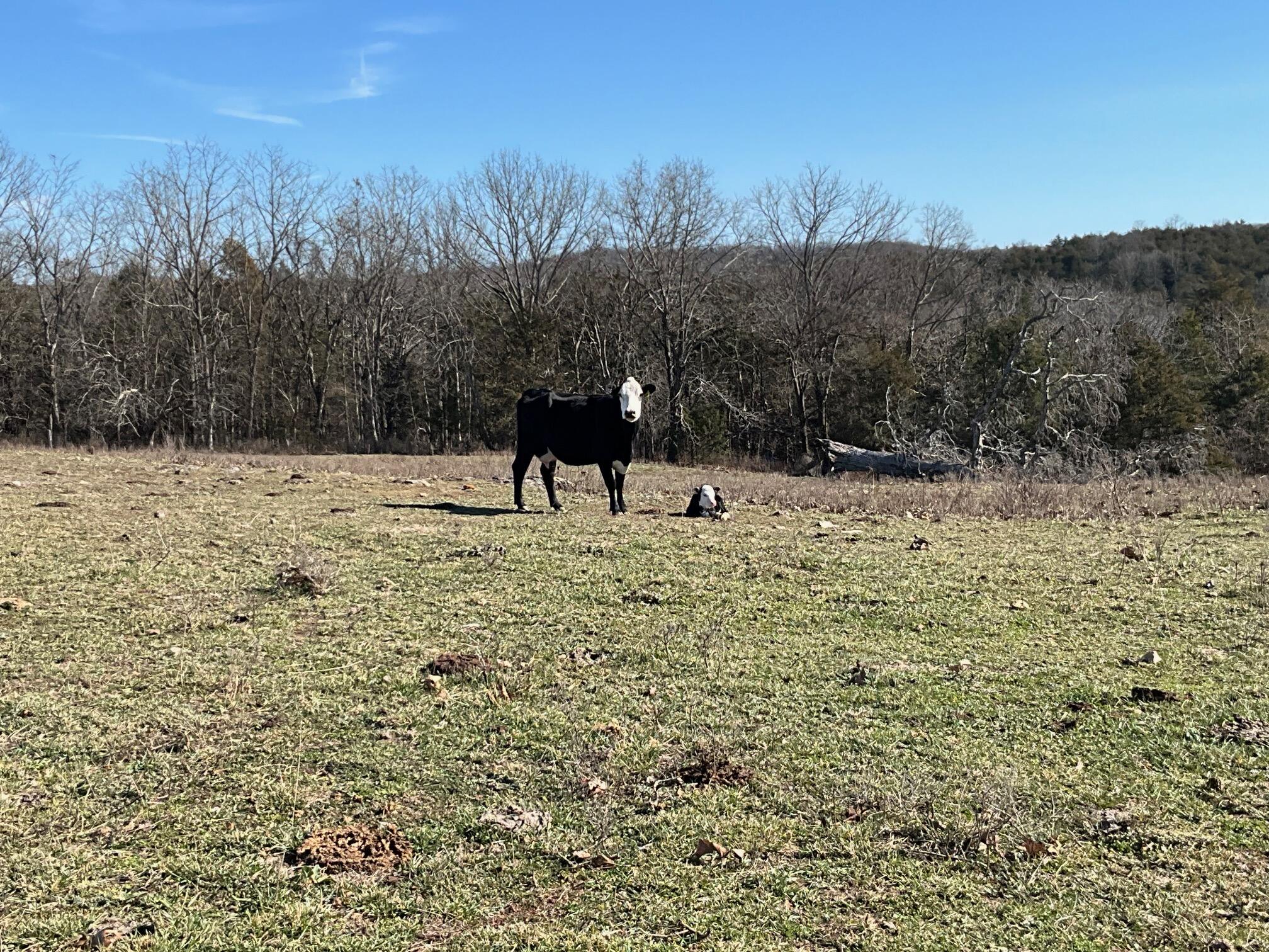 main property photo 16