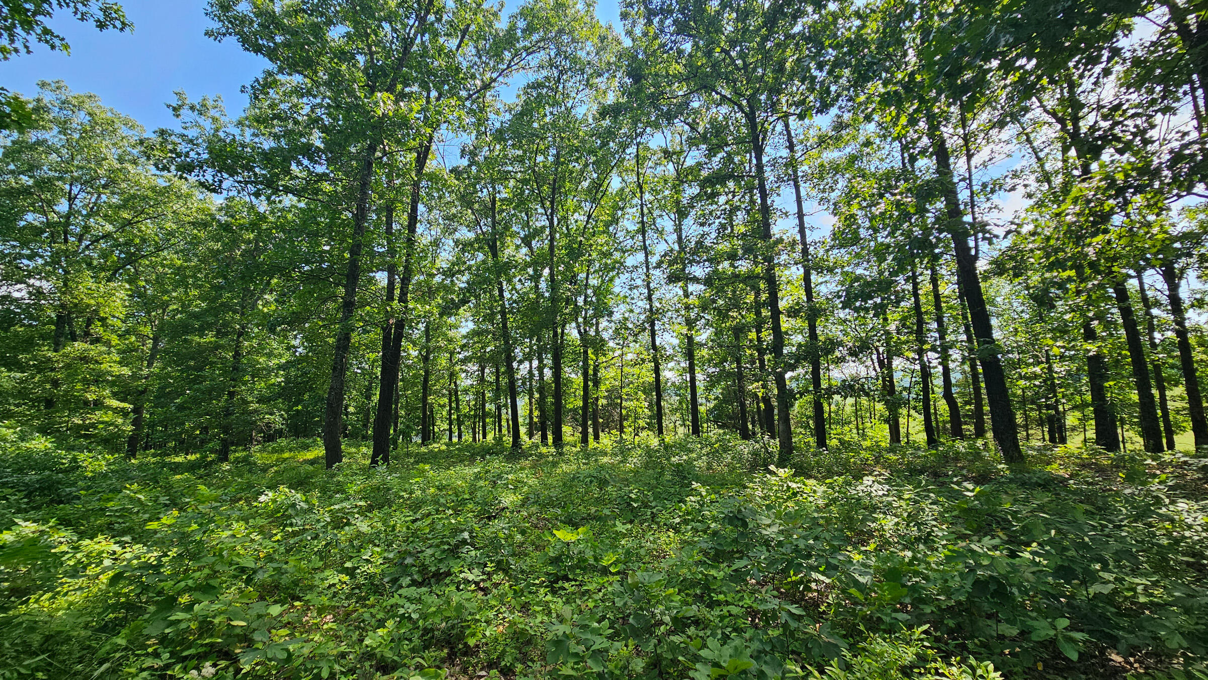 main property photo 20