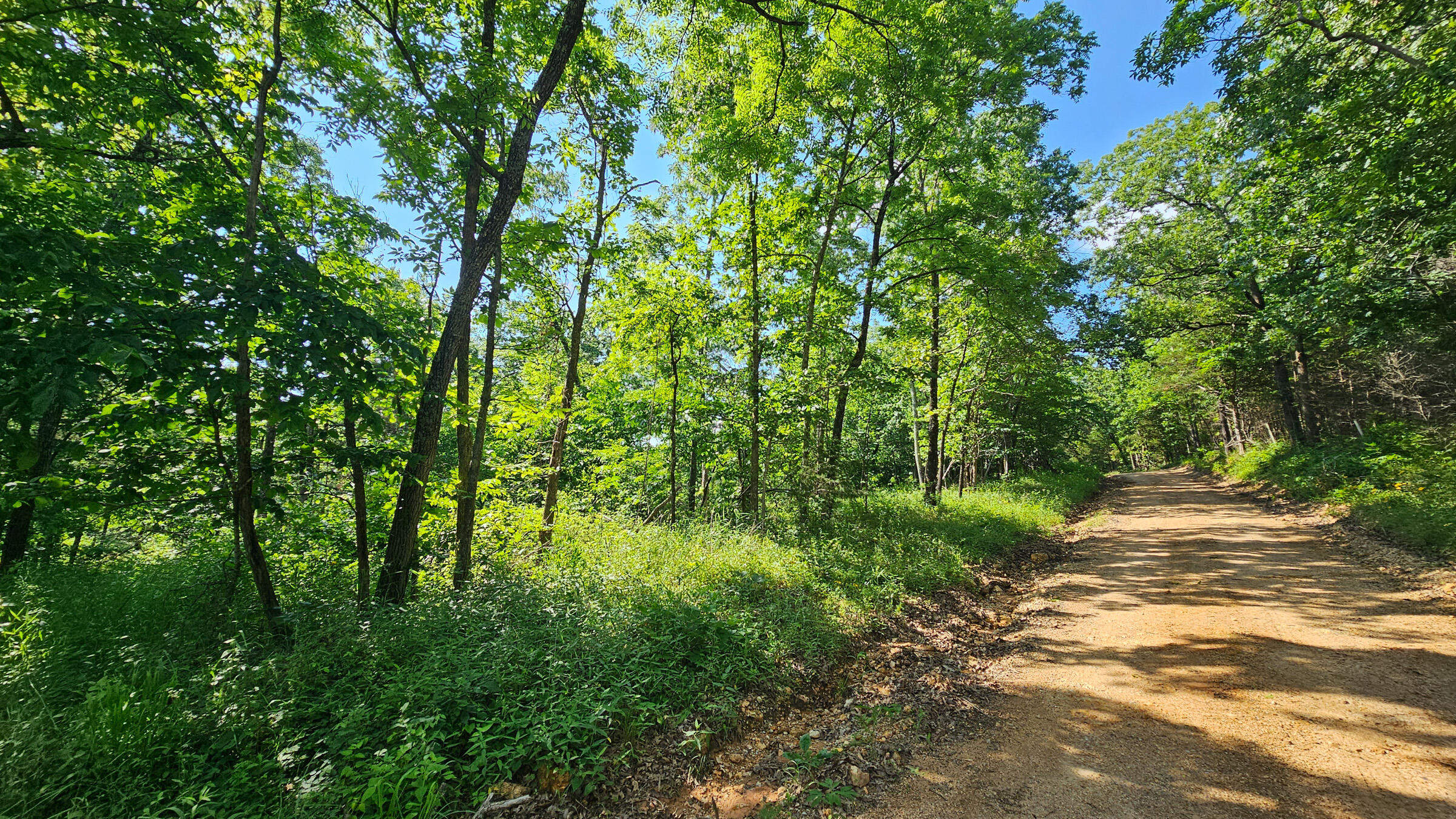 main property photo 23