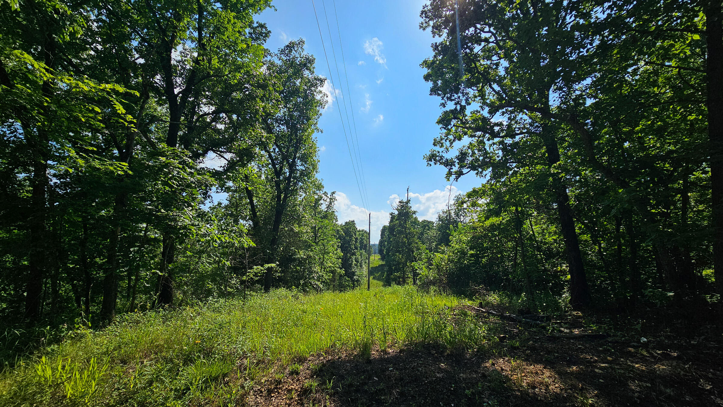 main property photo 25