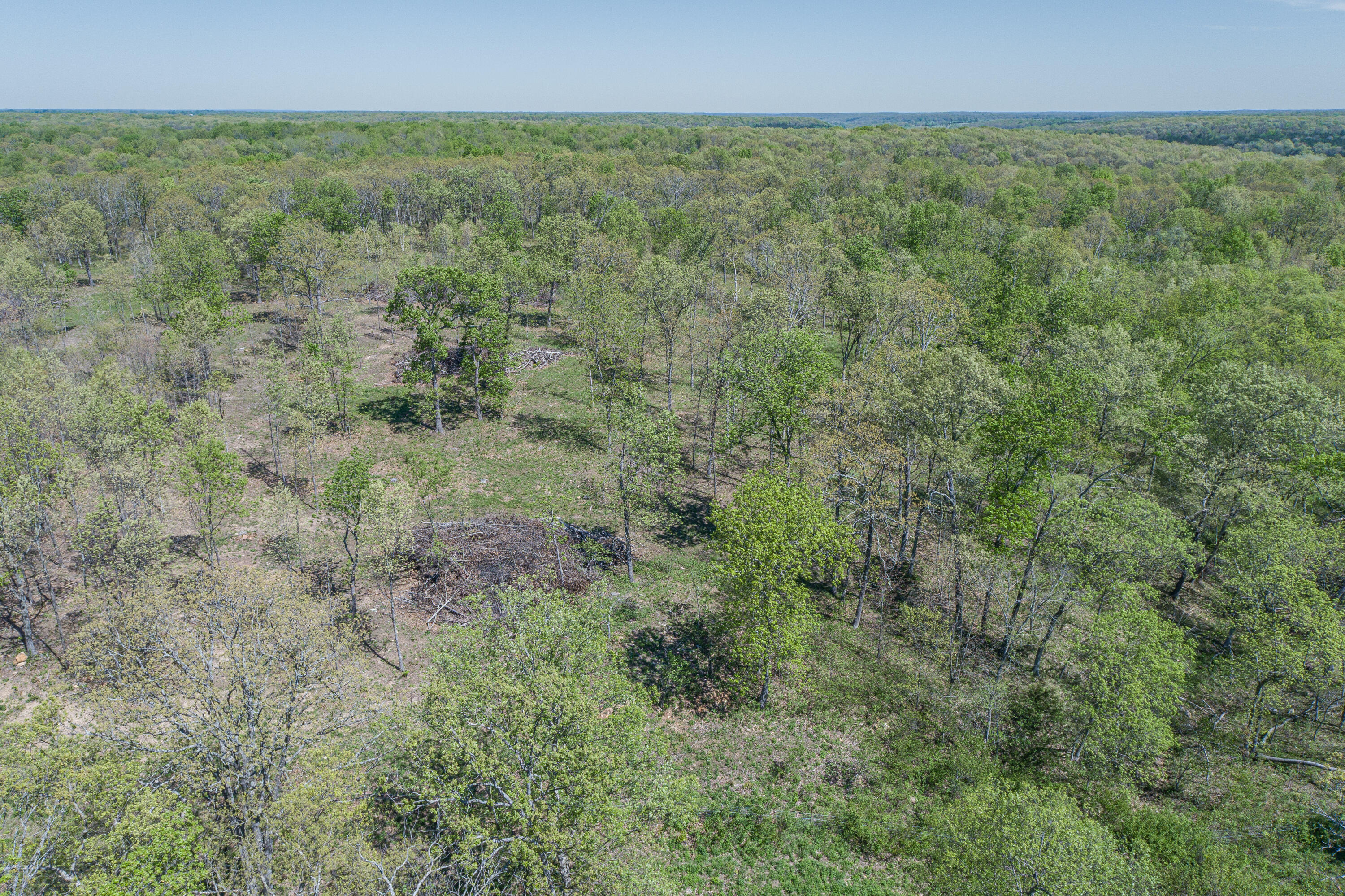 main property photo 54