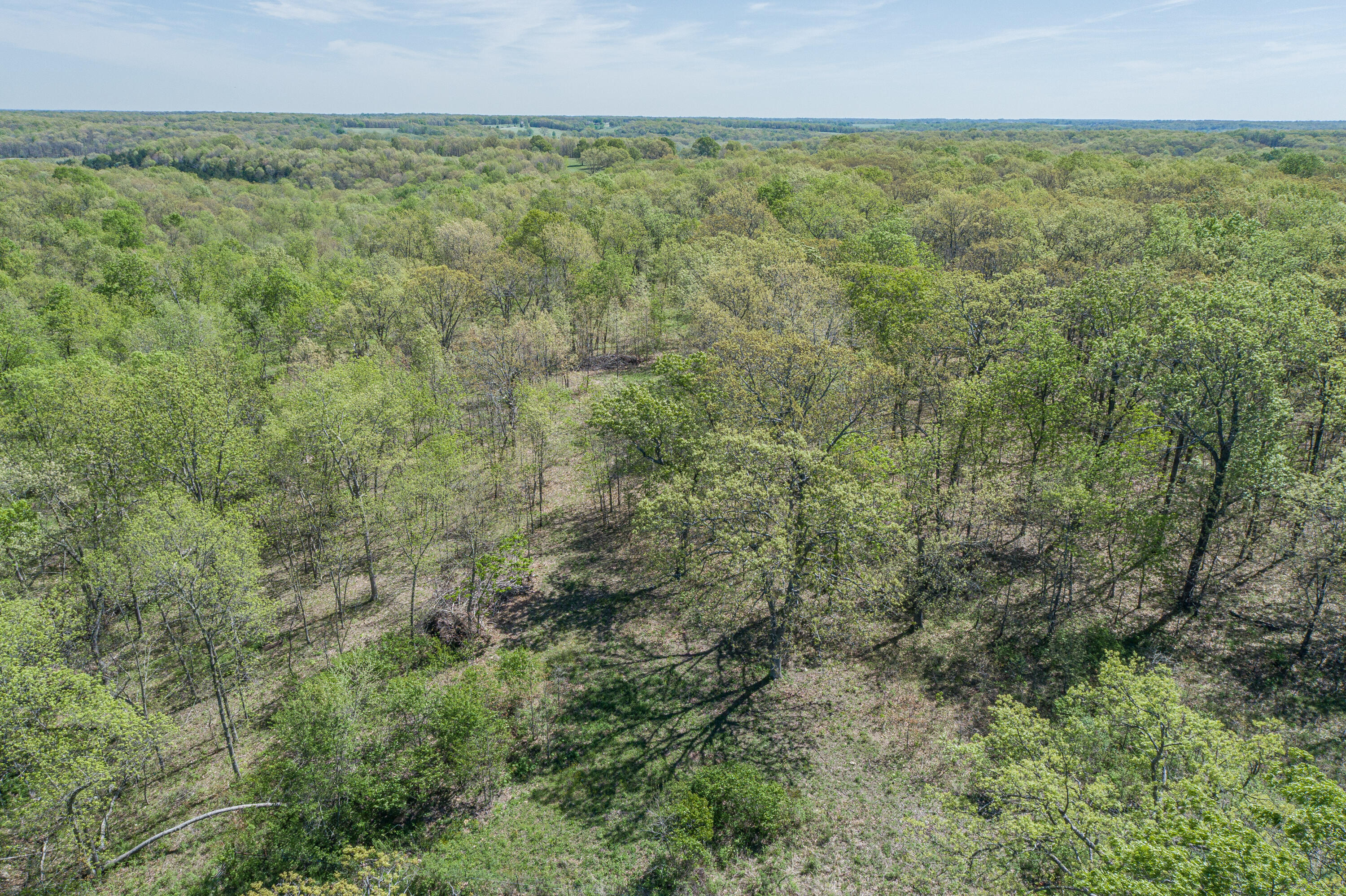 main property photo 55