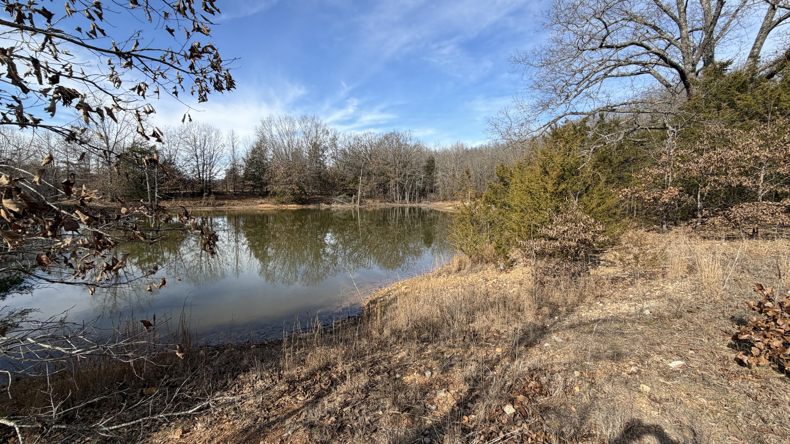 main property photo 13