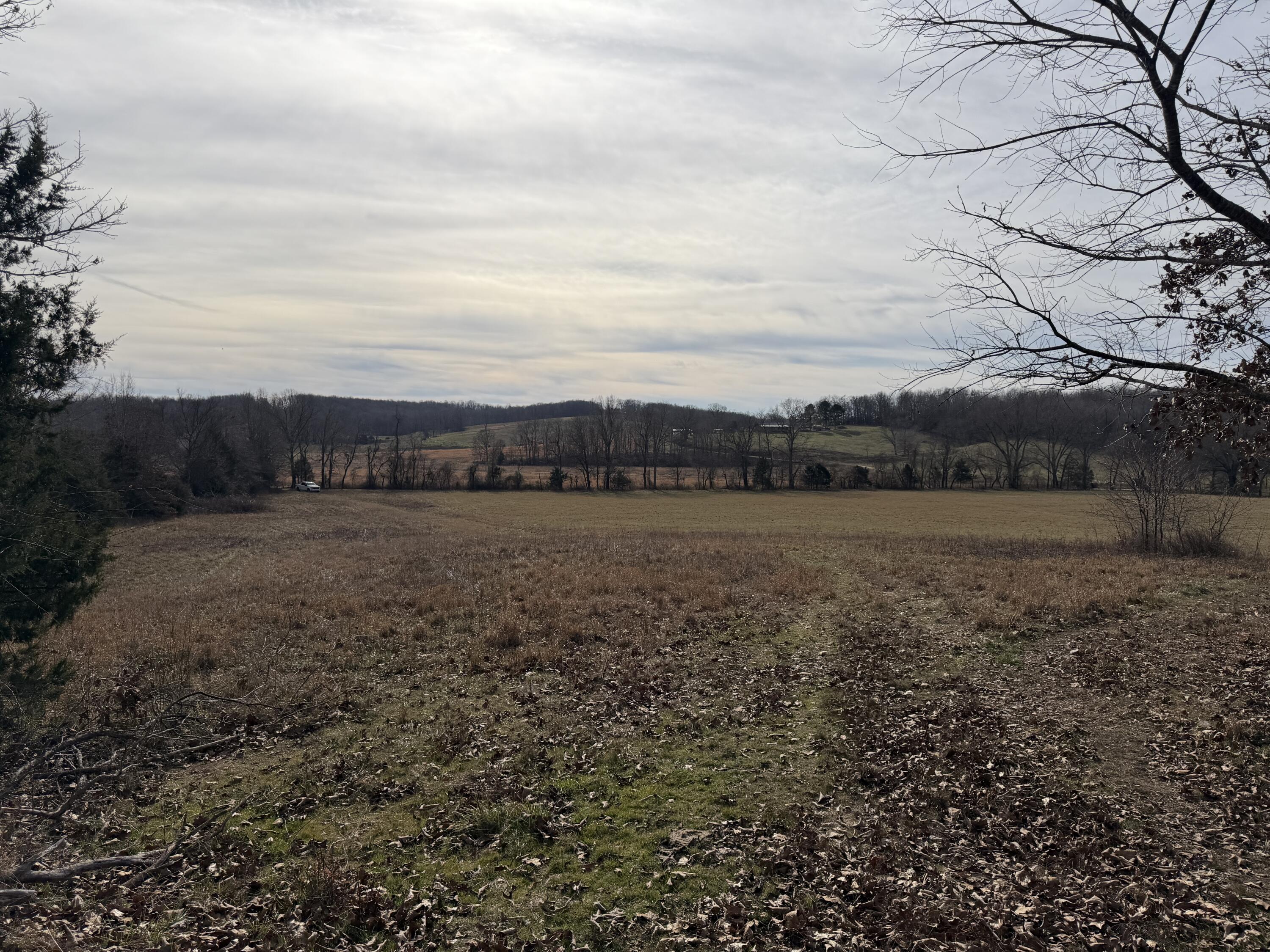 main property photo 16