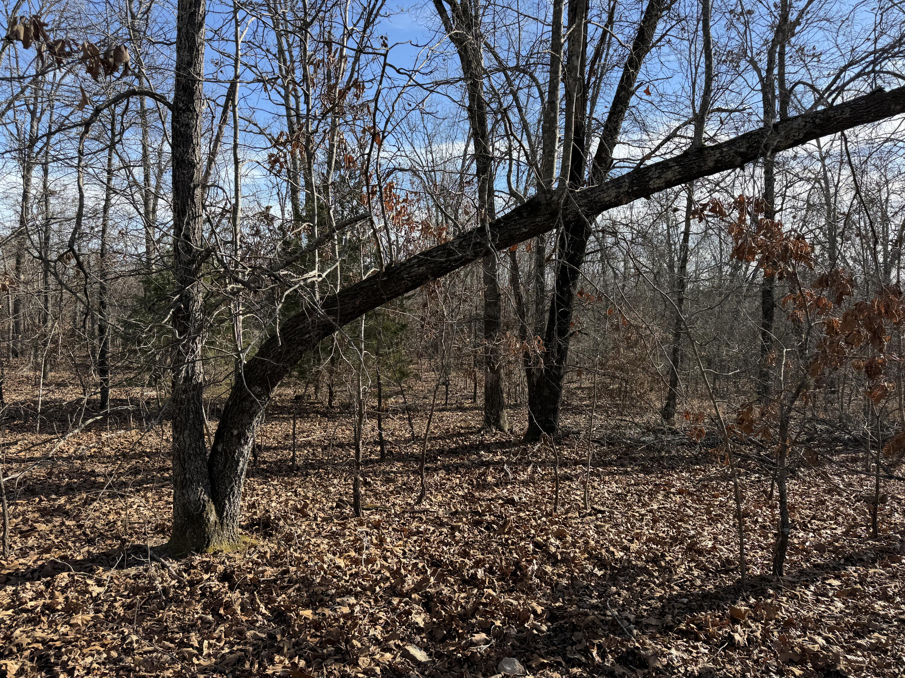 main property photo 20