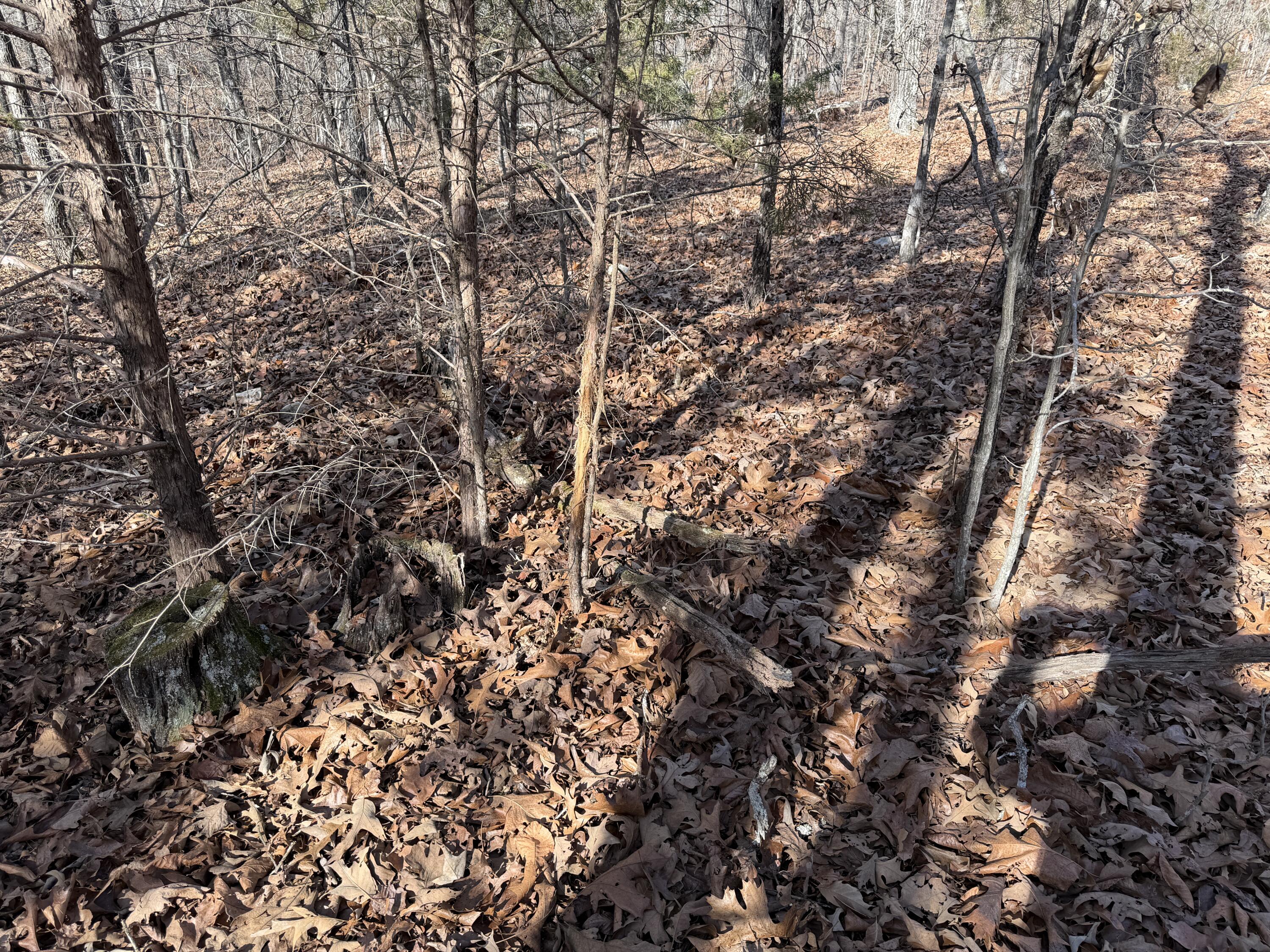 main property photo 21