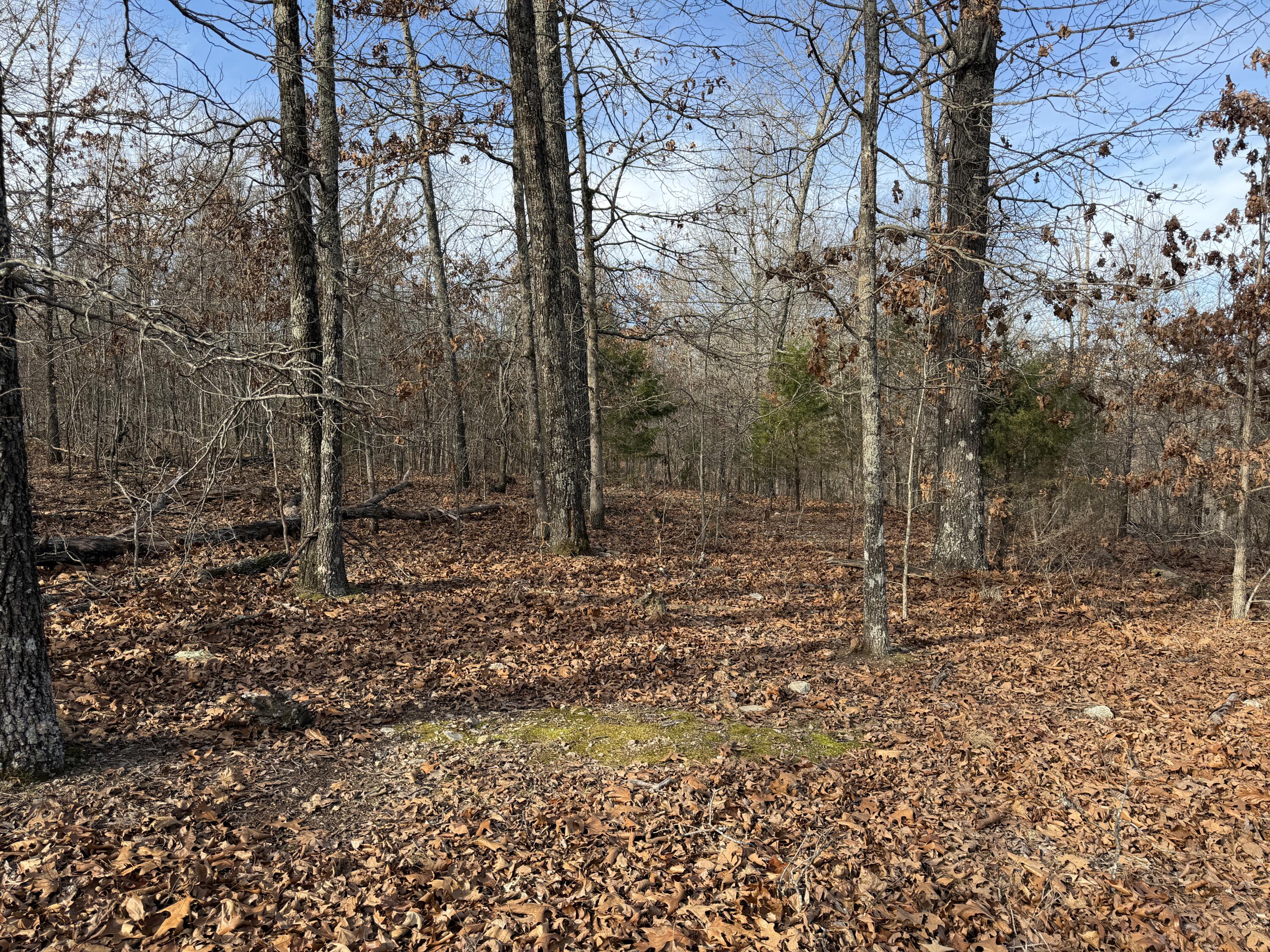main property photo 25