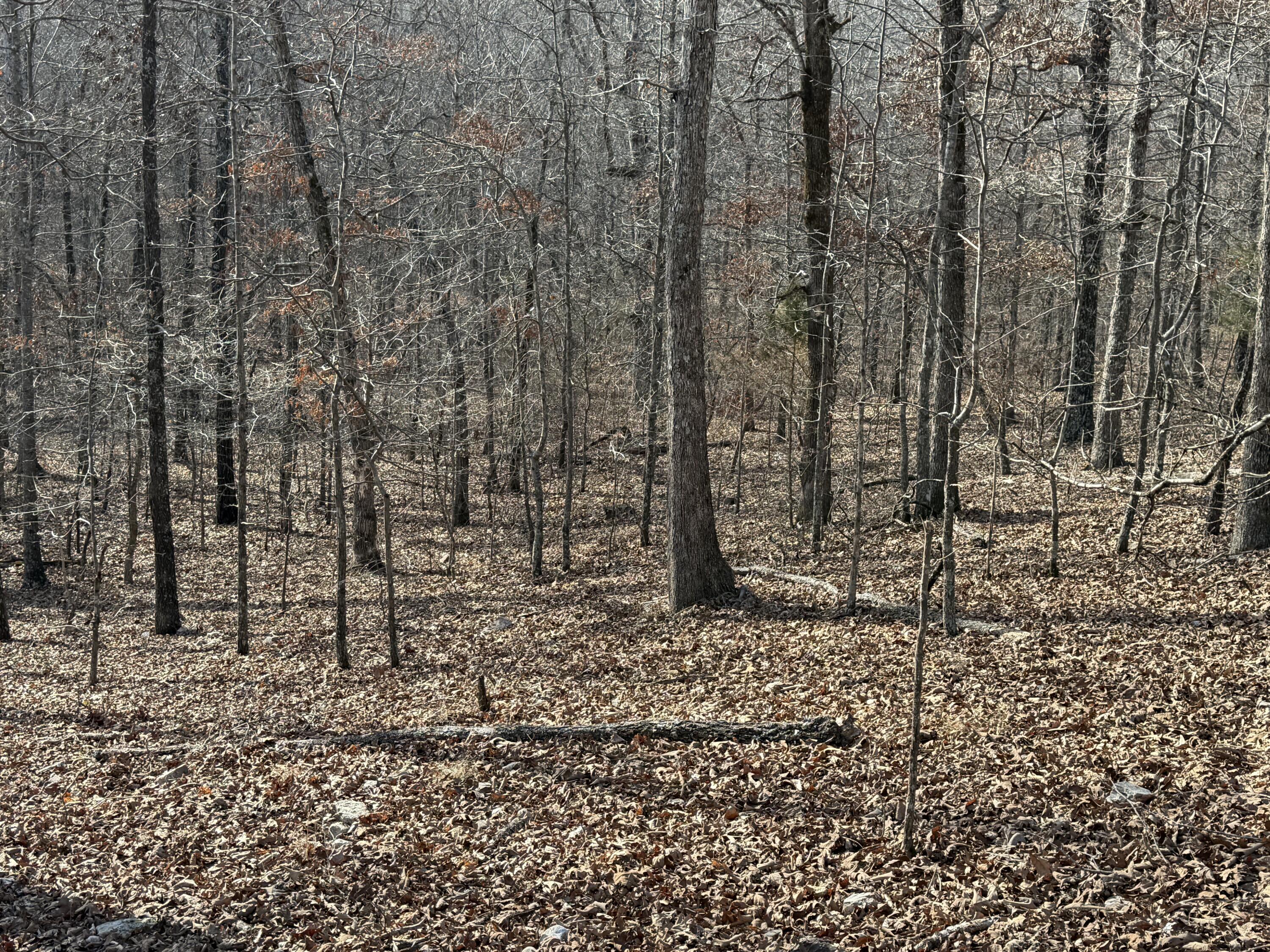 main property photo 27