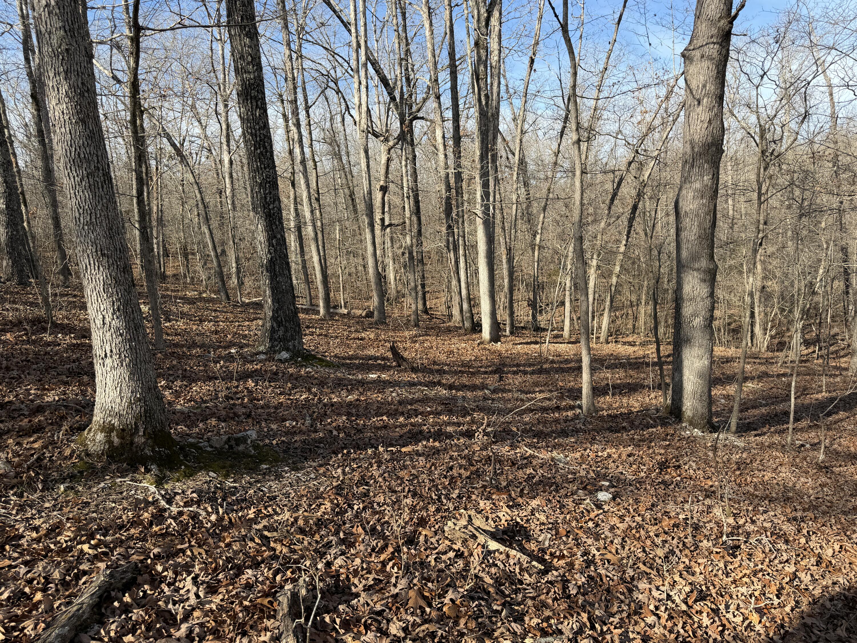 main property photo 35