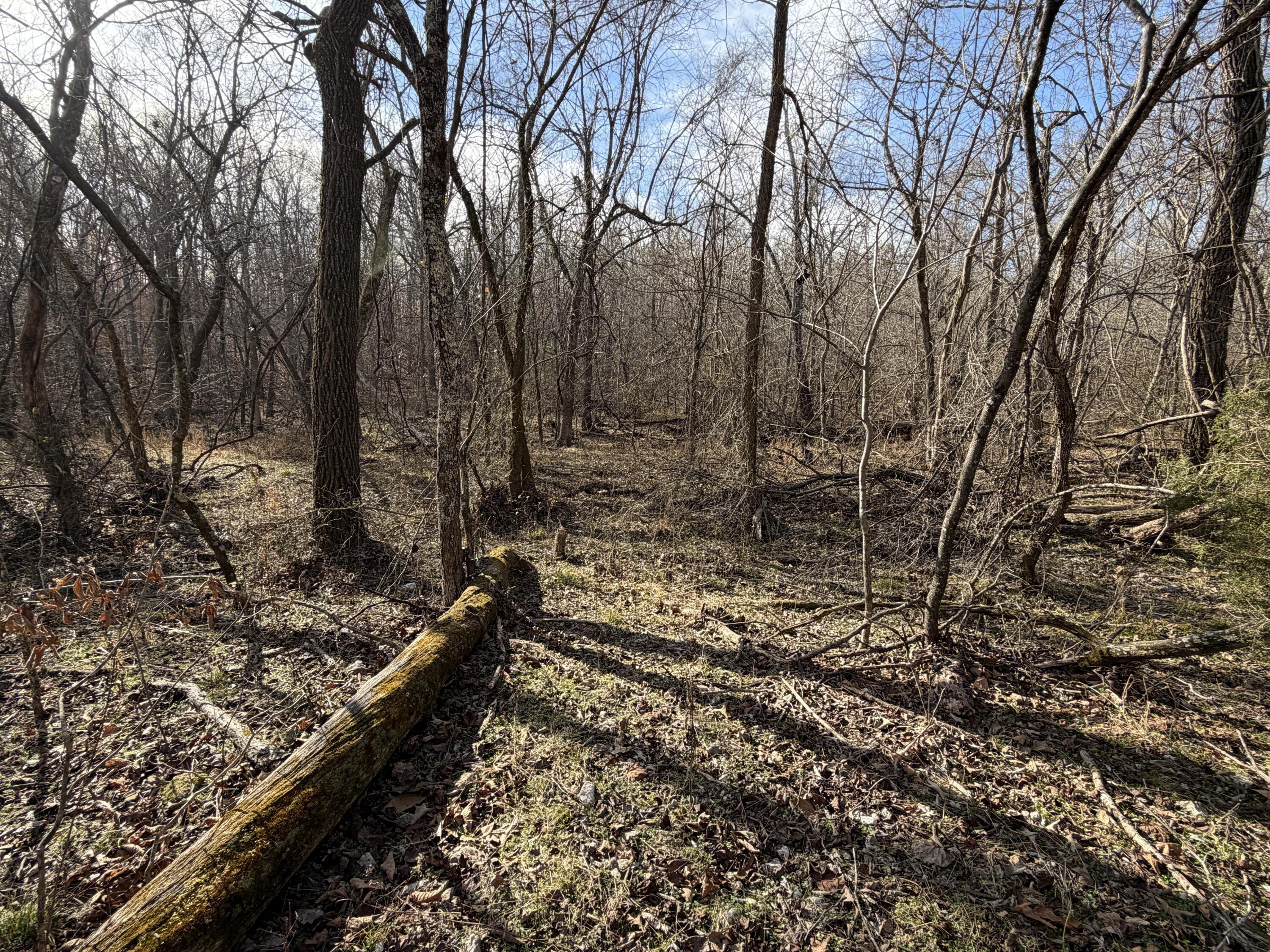 main property photo 36