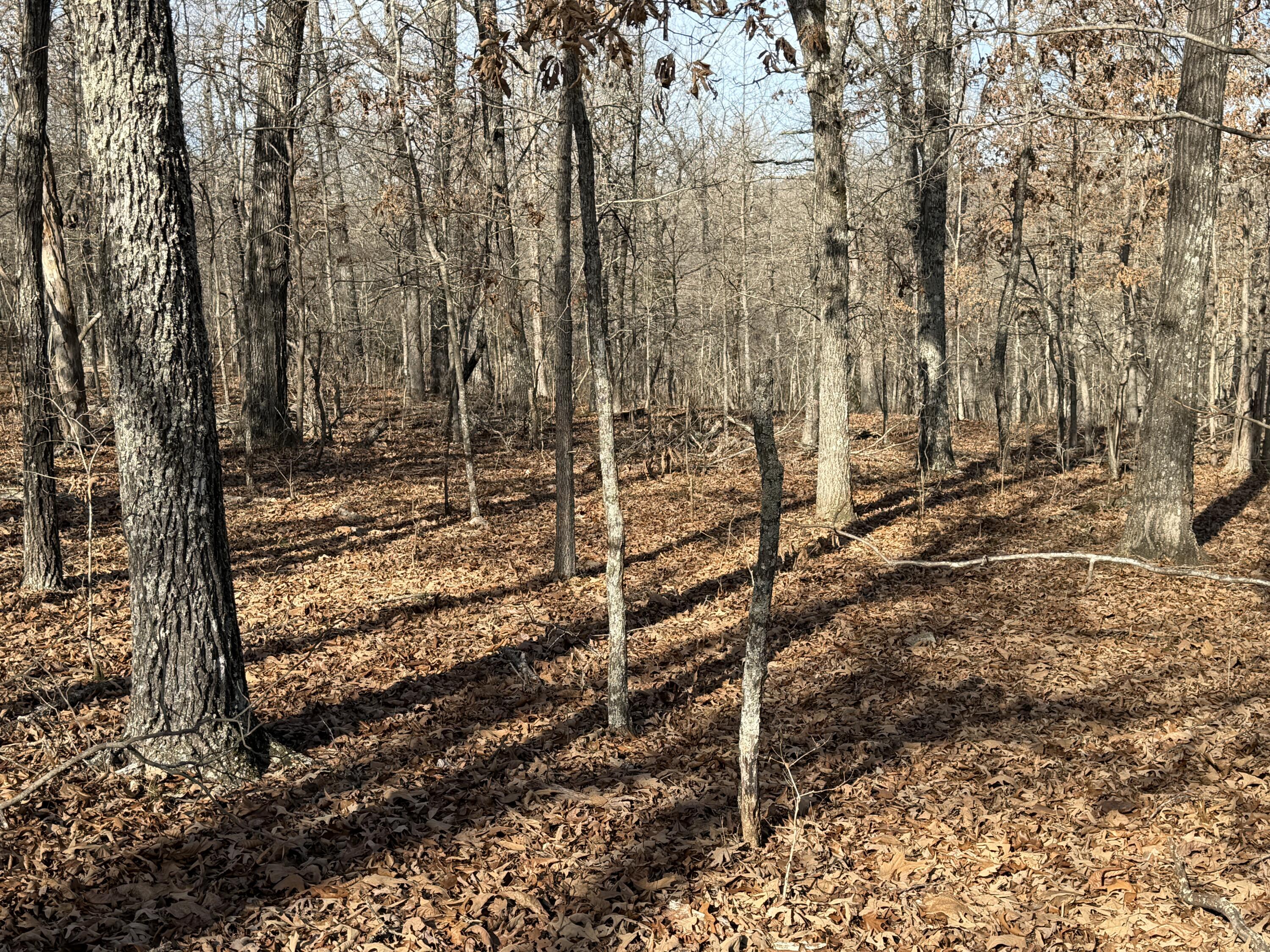 main property photo 38