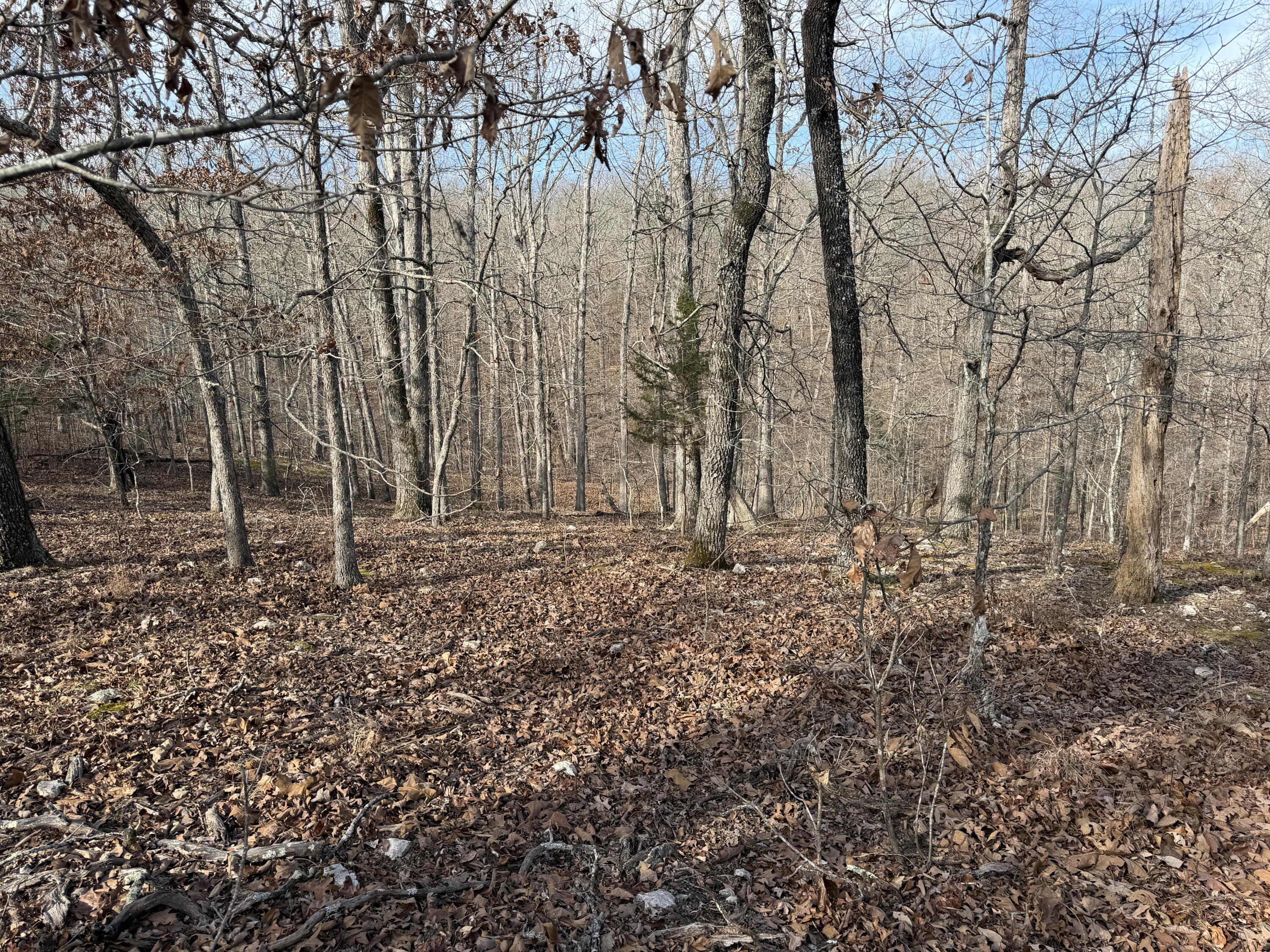 main property photo 43