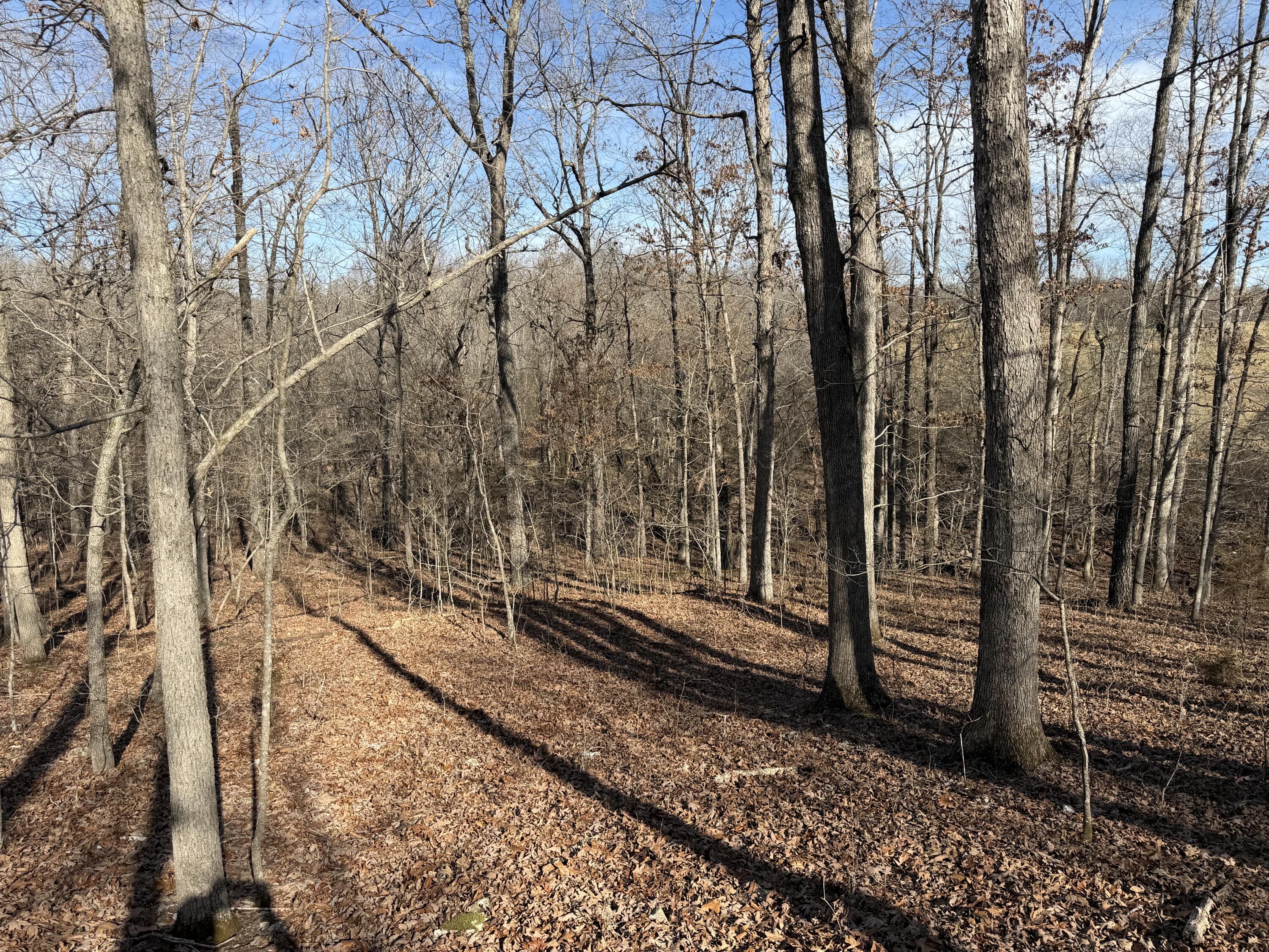 main property photo 44