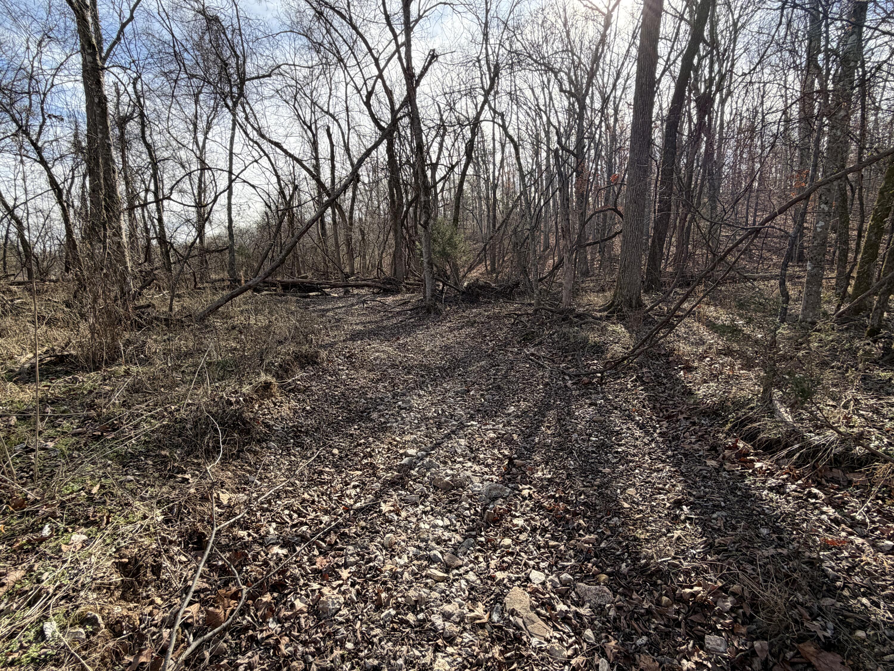 main property photo 46