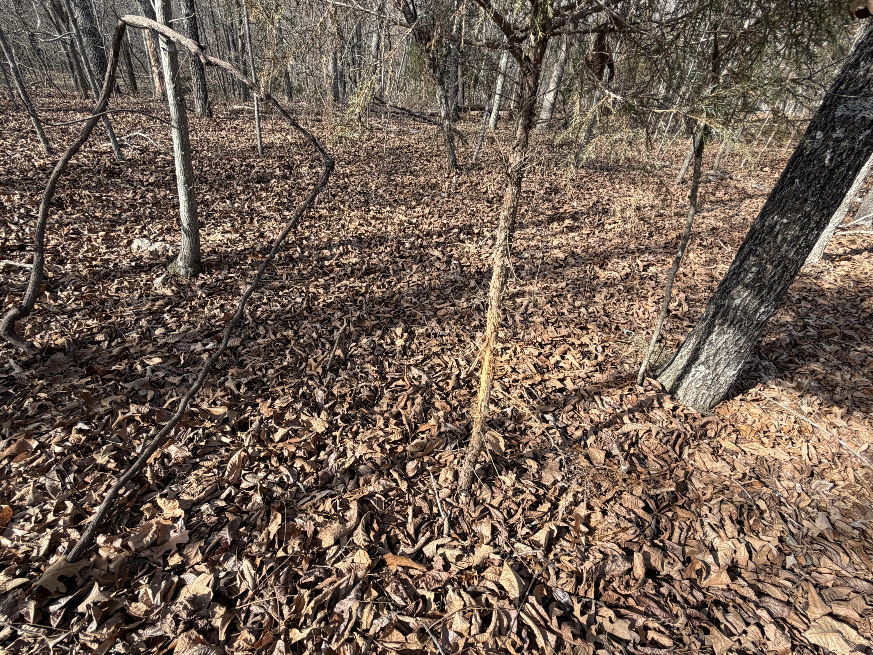 main property photo 50