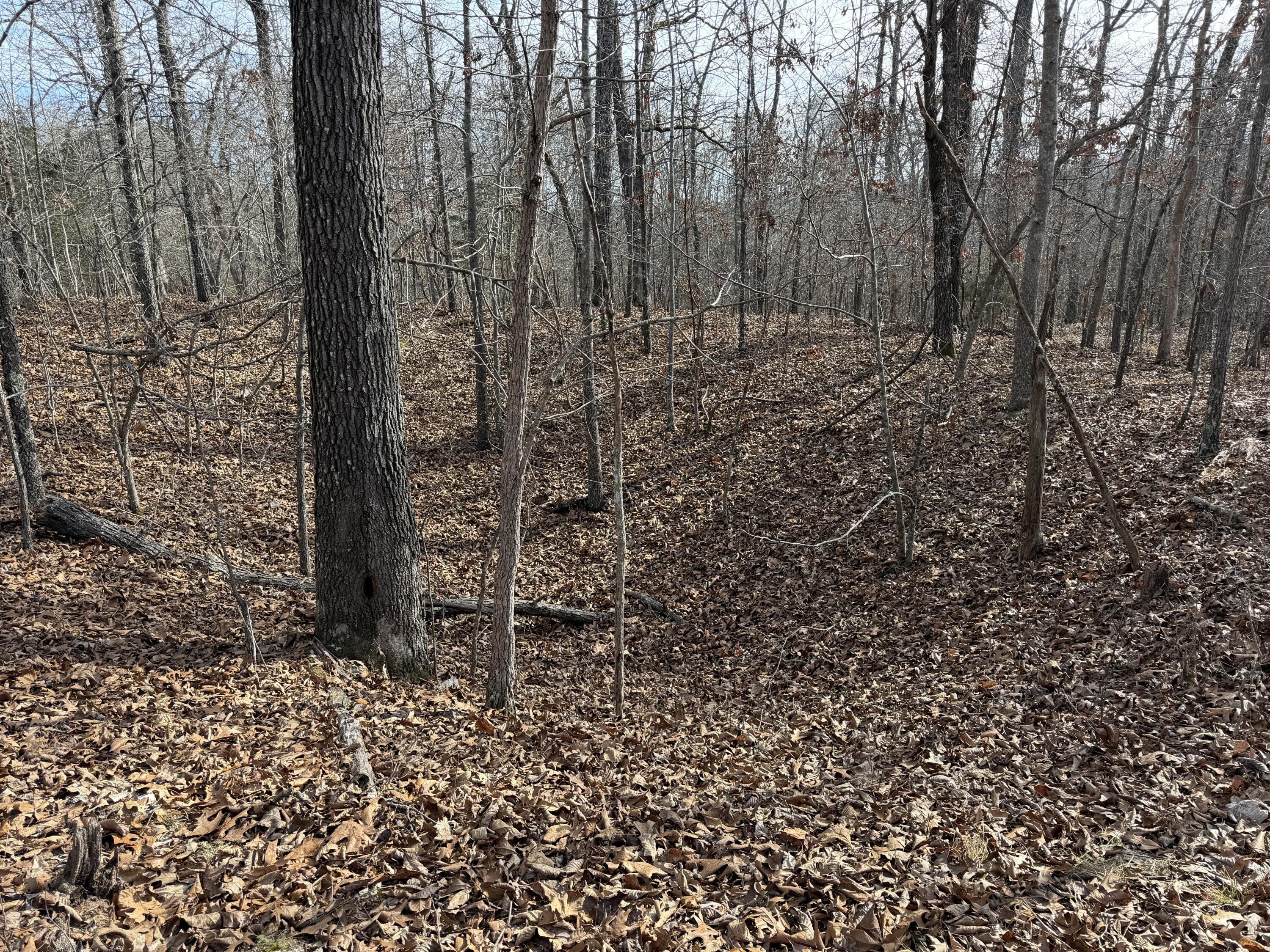 main property photo 52