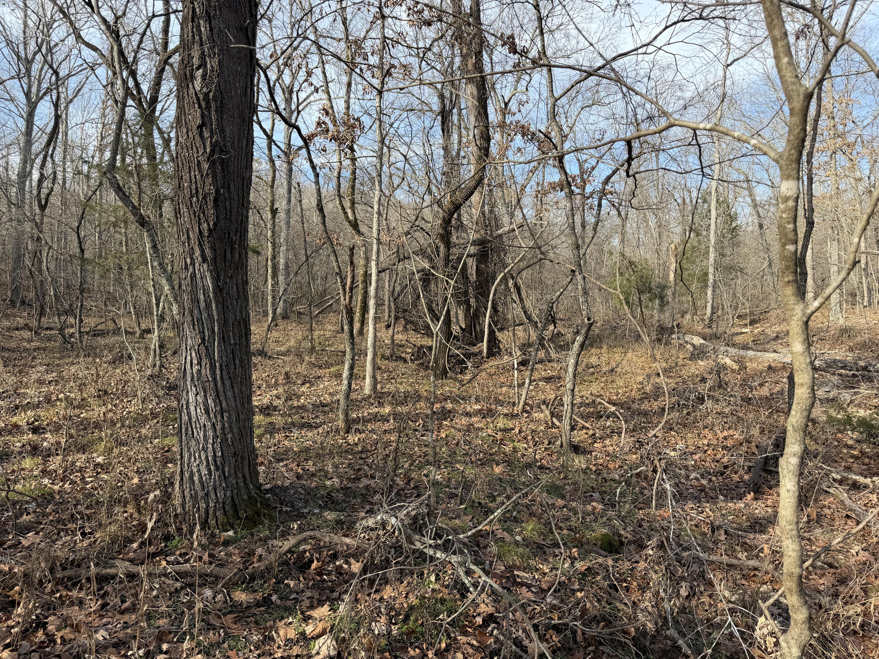 main property photo 53