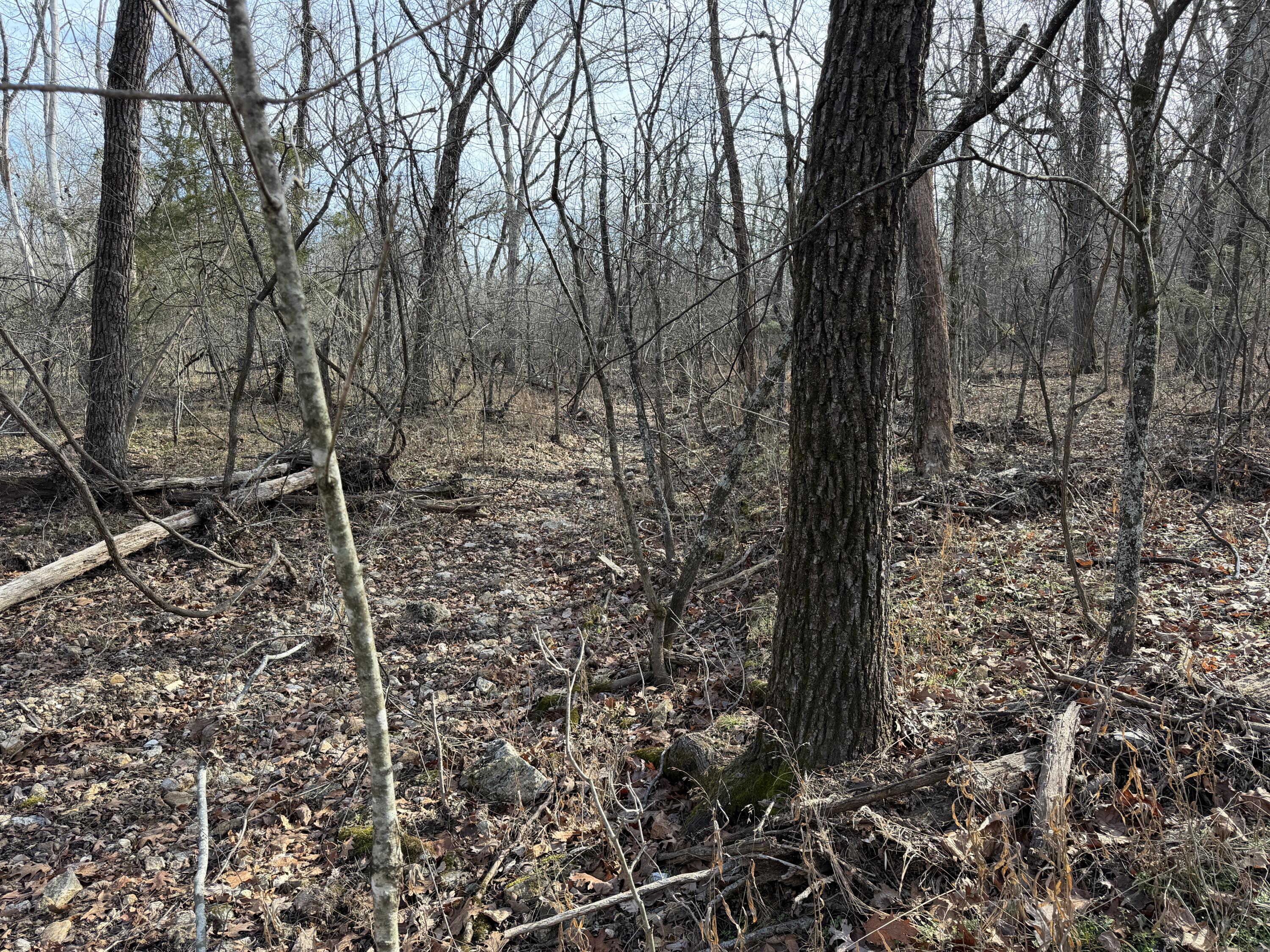 main property photo 54
