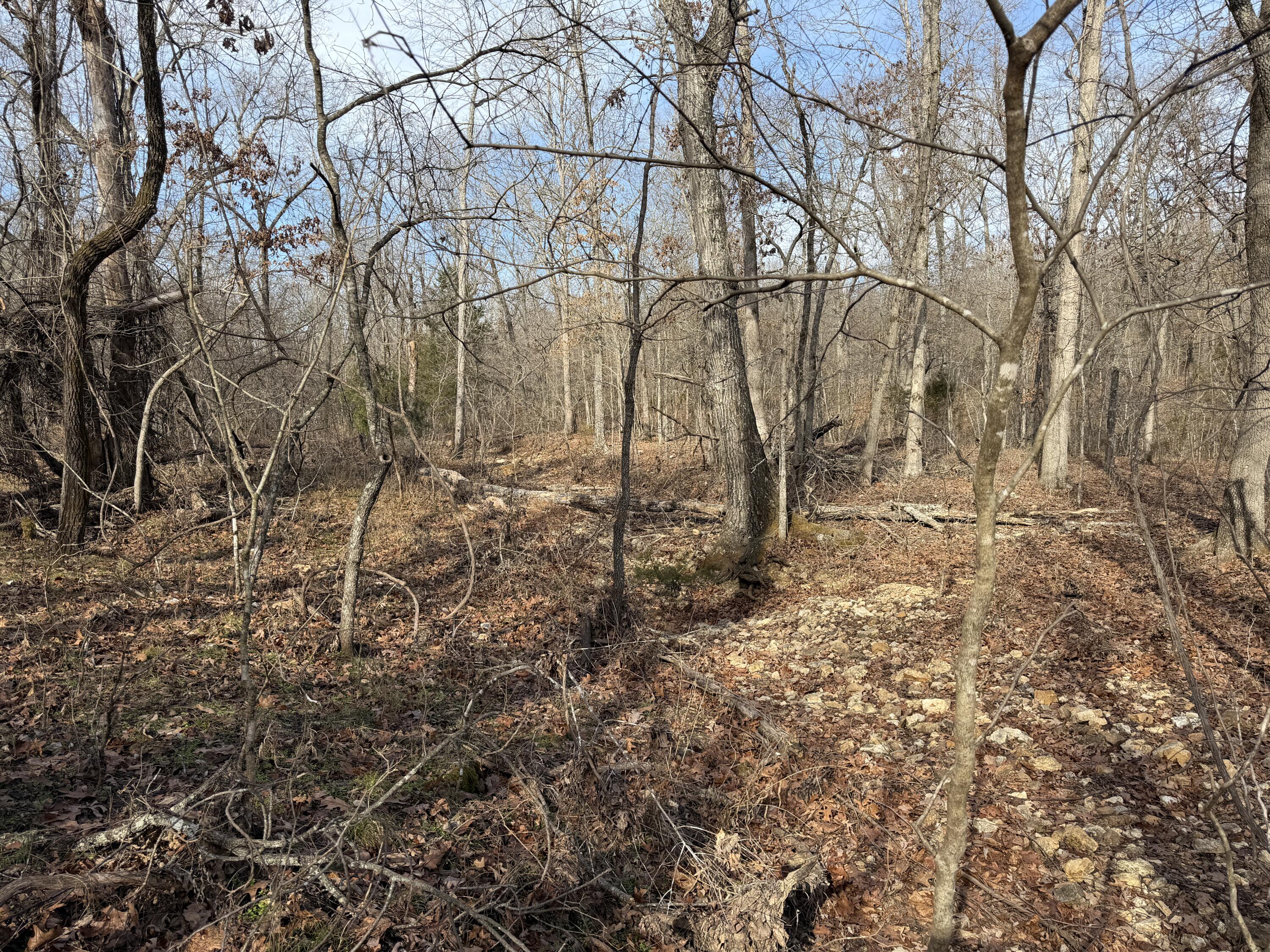 main property photo 55