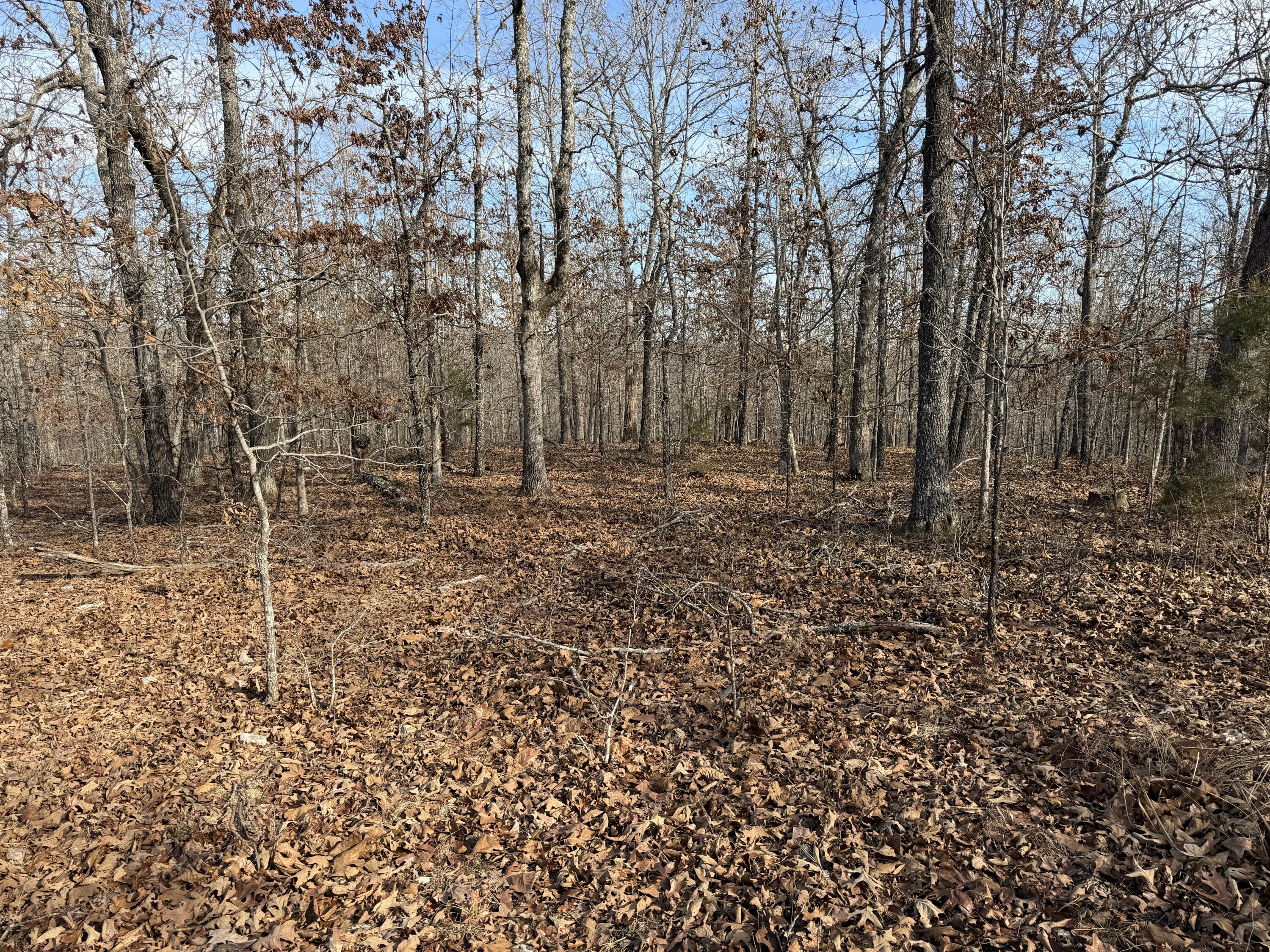 main property photo 57