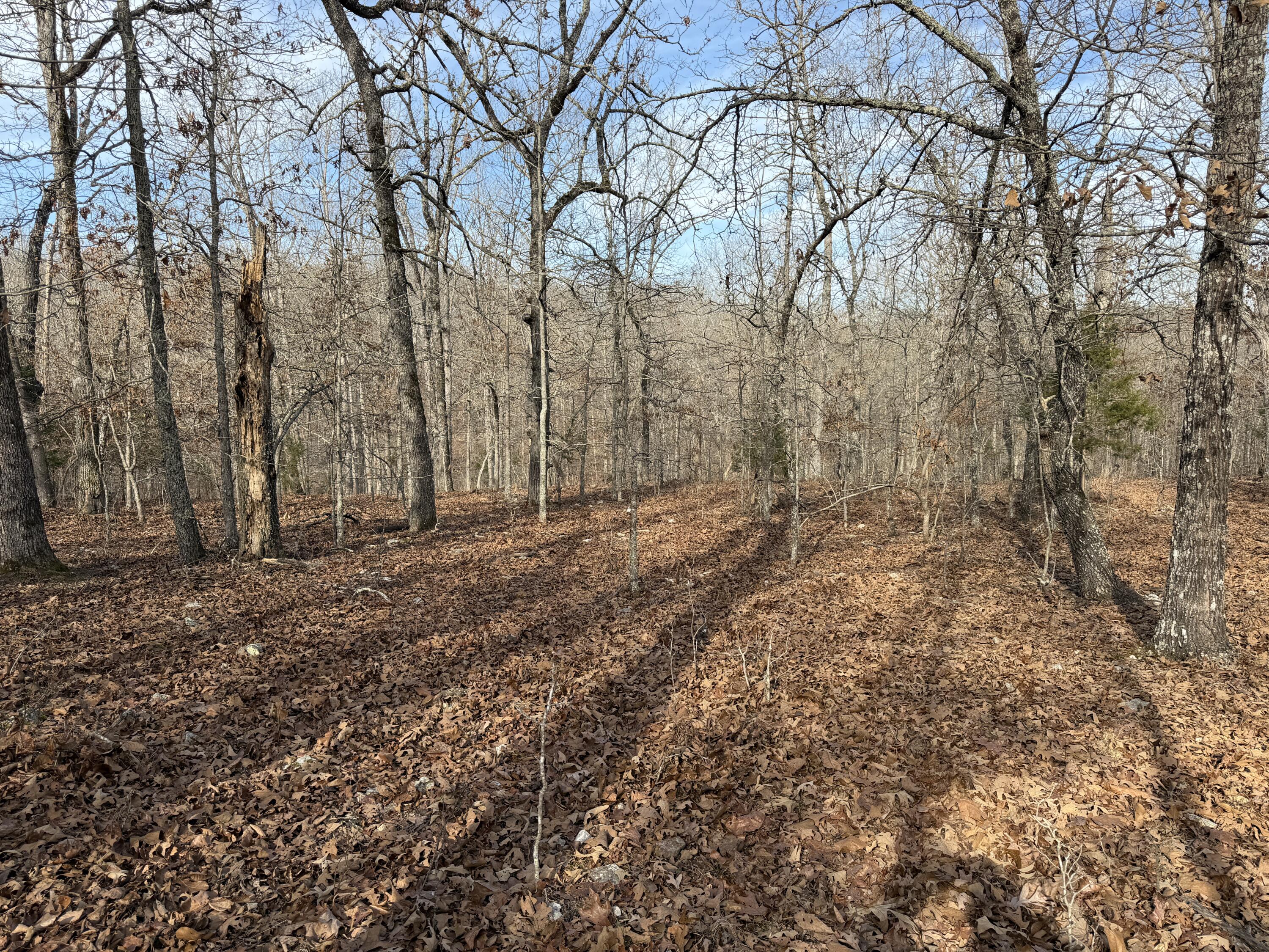 main property photo 59