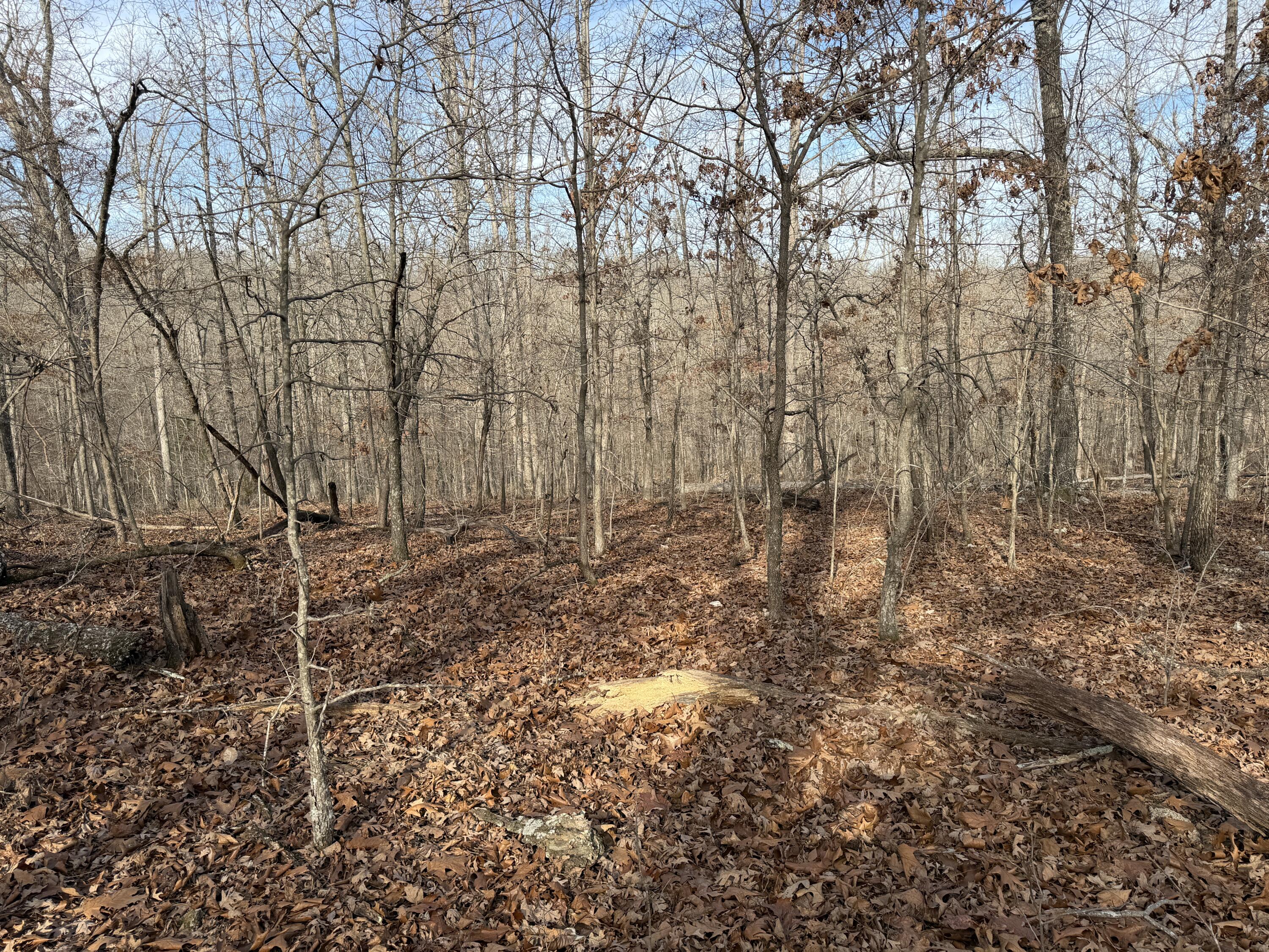 main property photo 60