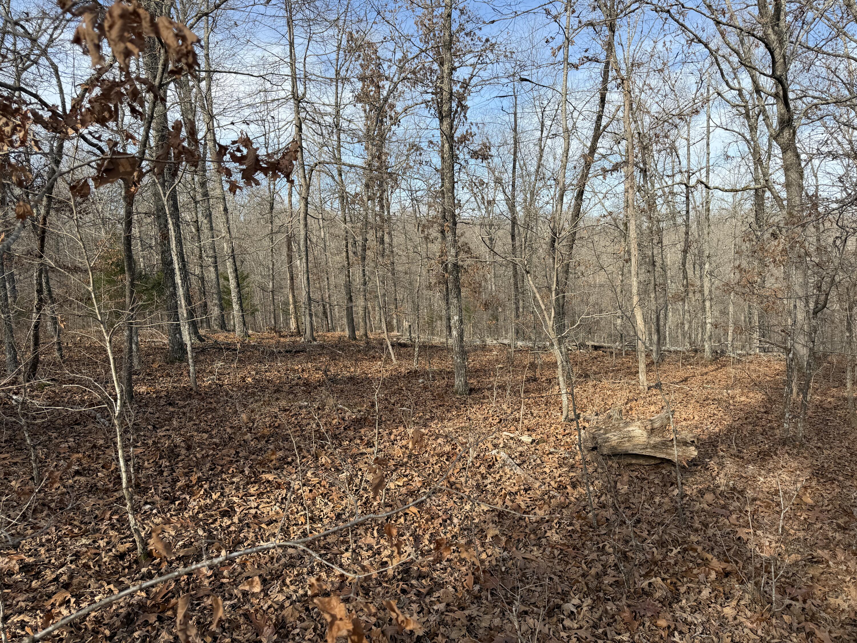 main property photo 61
