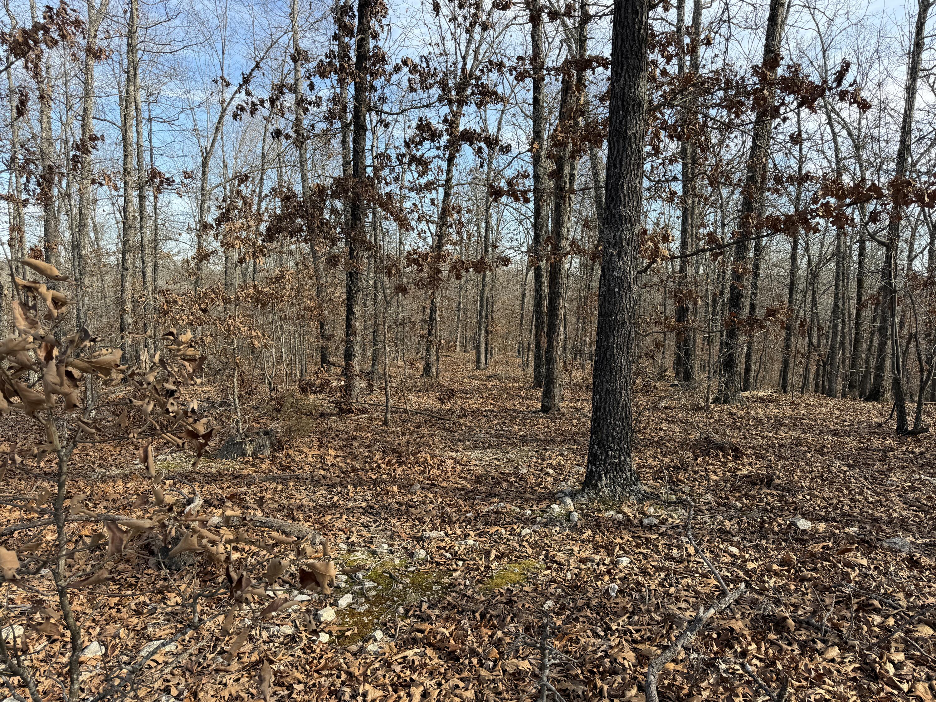 main property photo 62