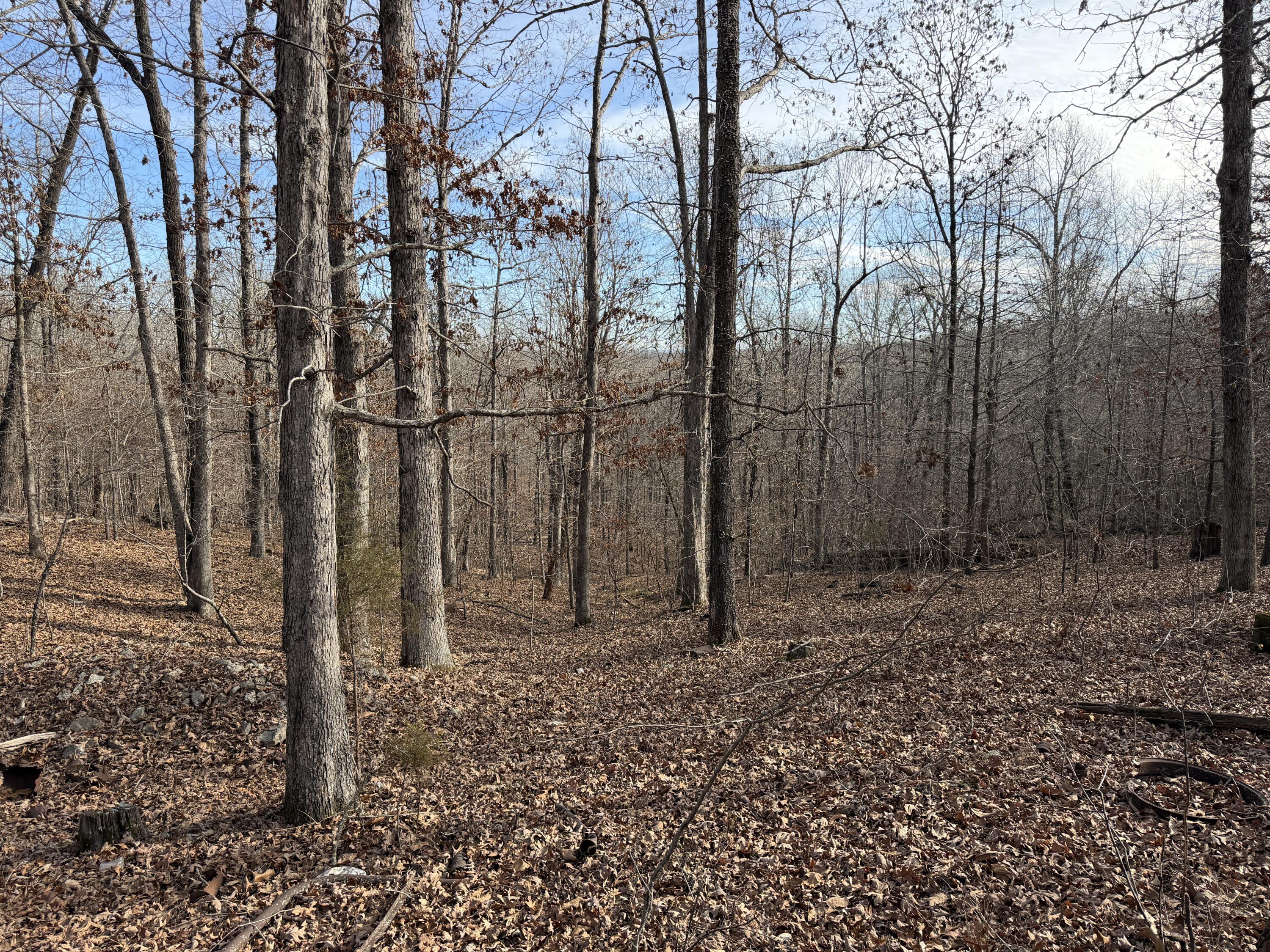 main property photo 64