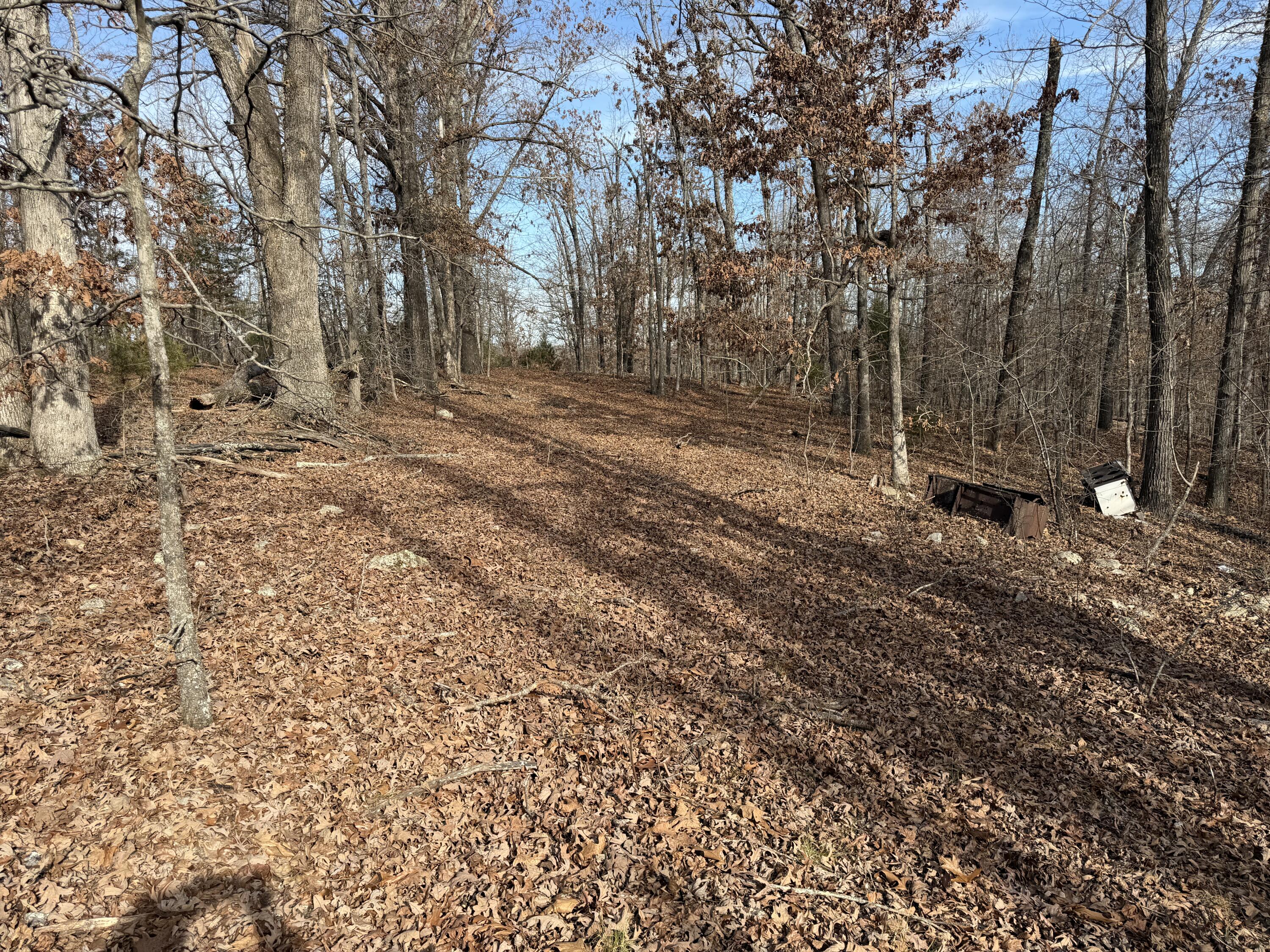 main property photo 65