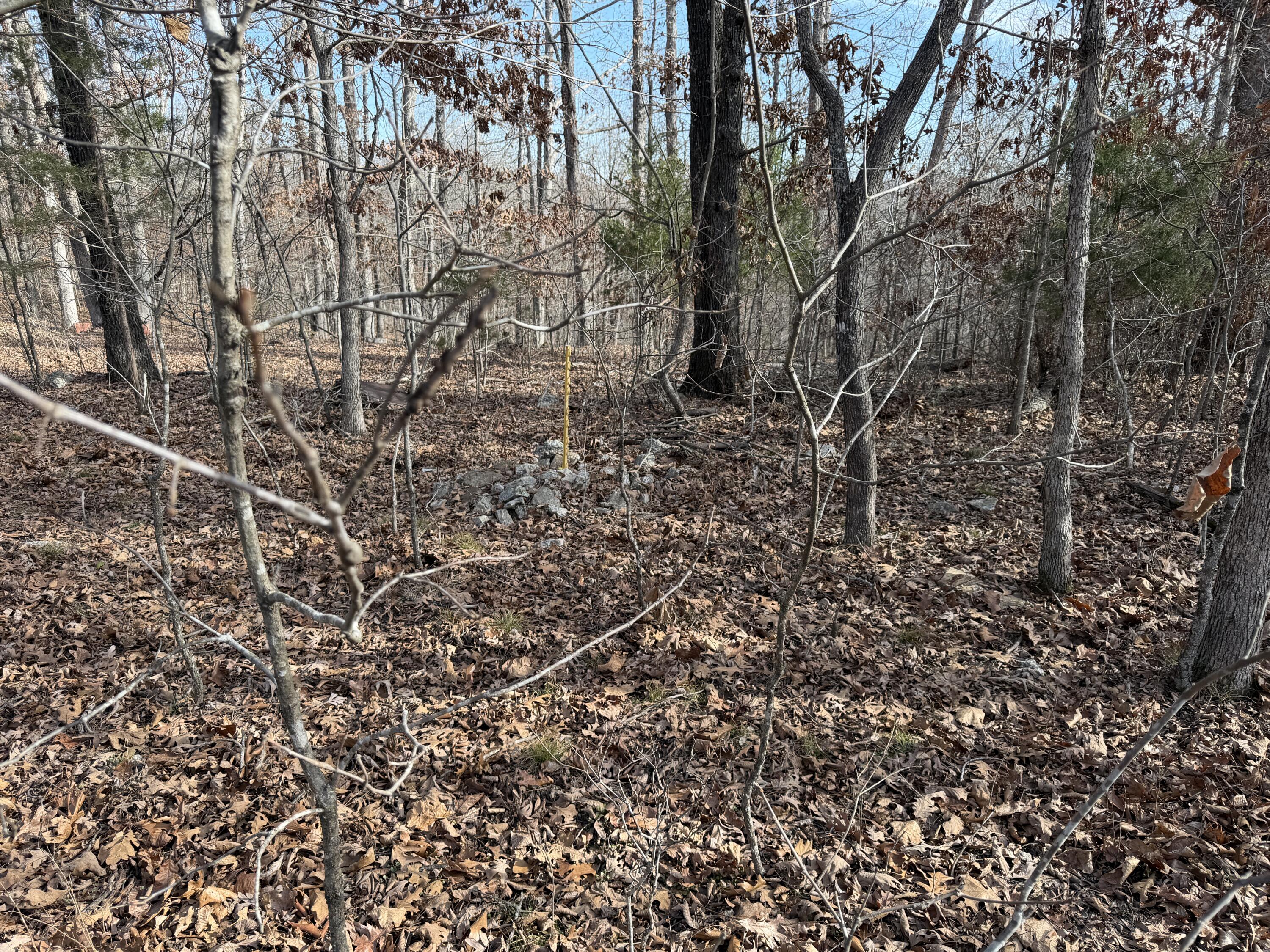 main property photo 66